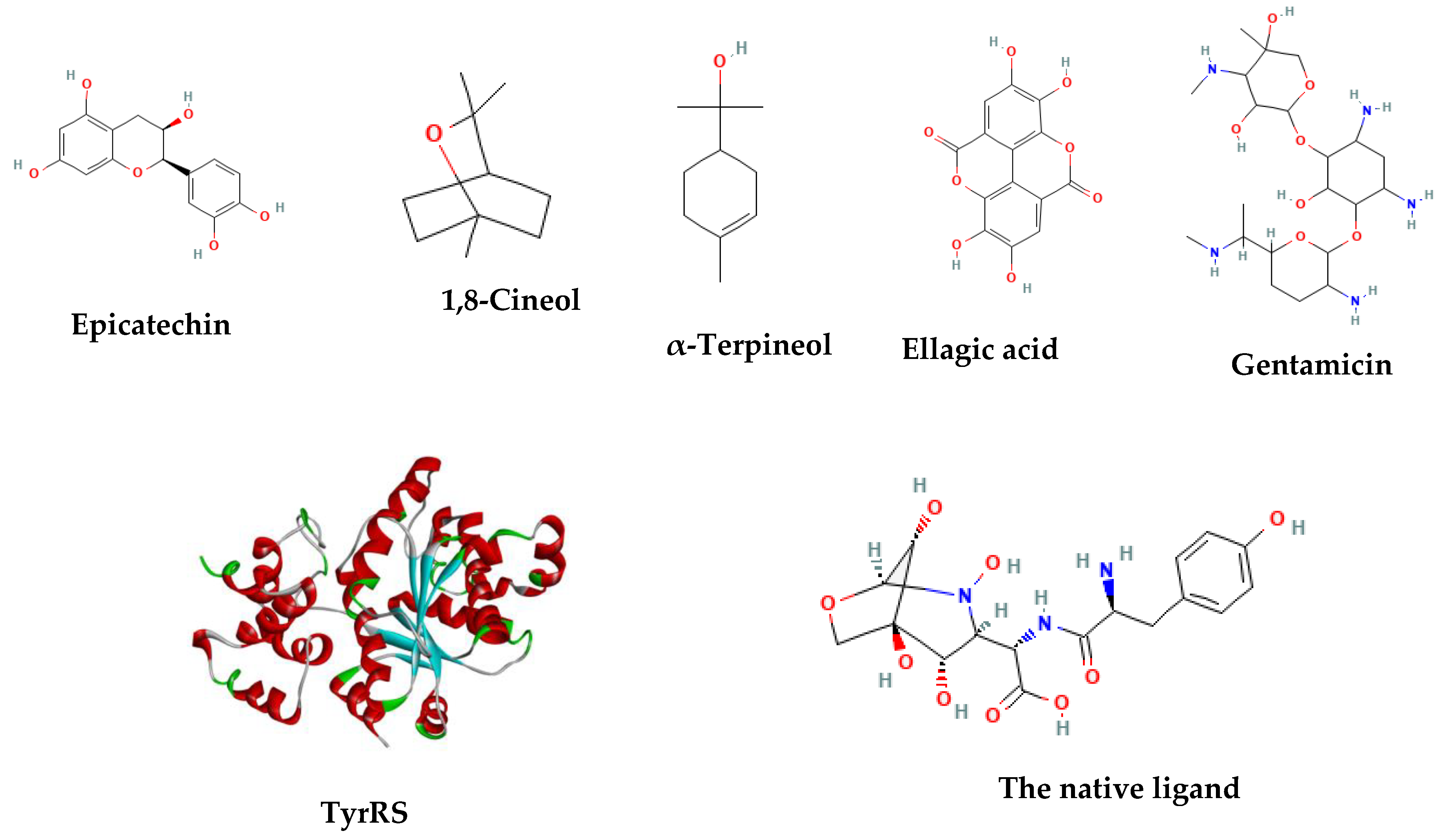Molecules 28 07153 g006