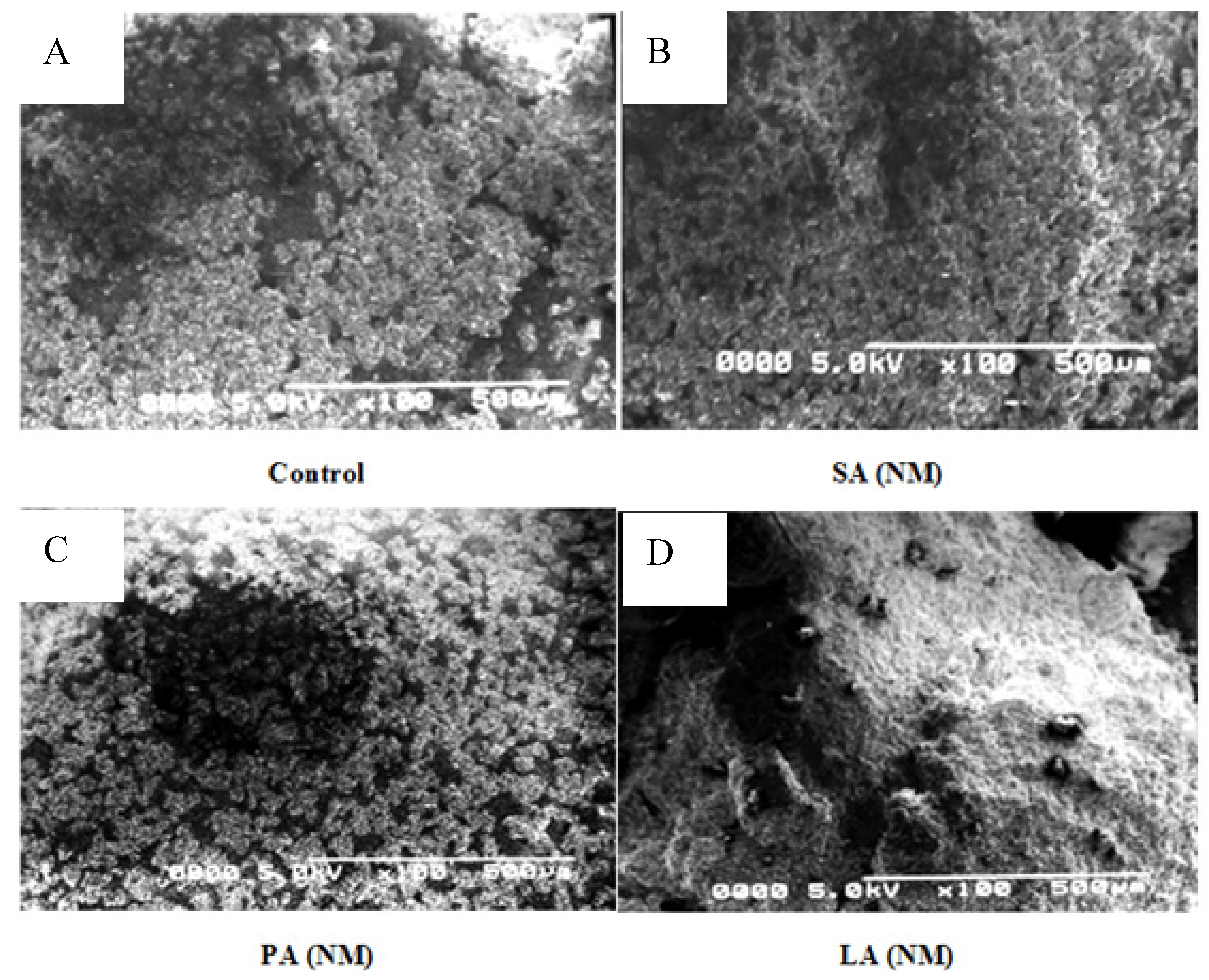 Molecules 28 07154 g002a
