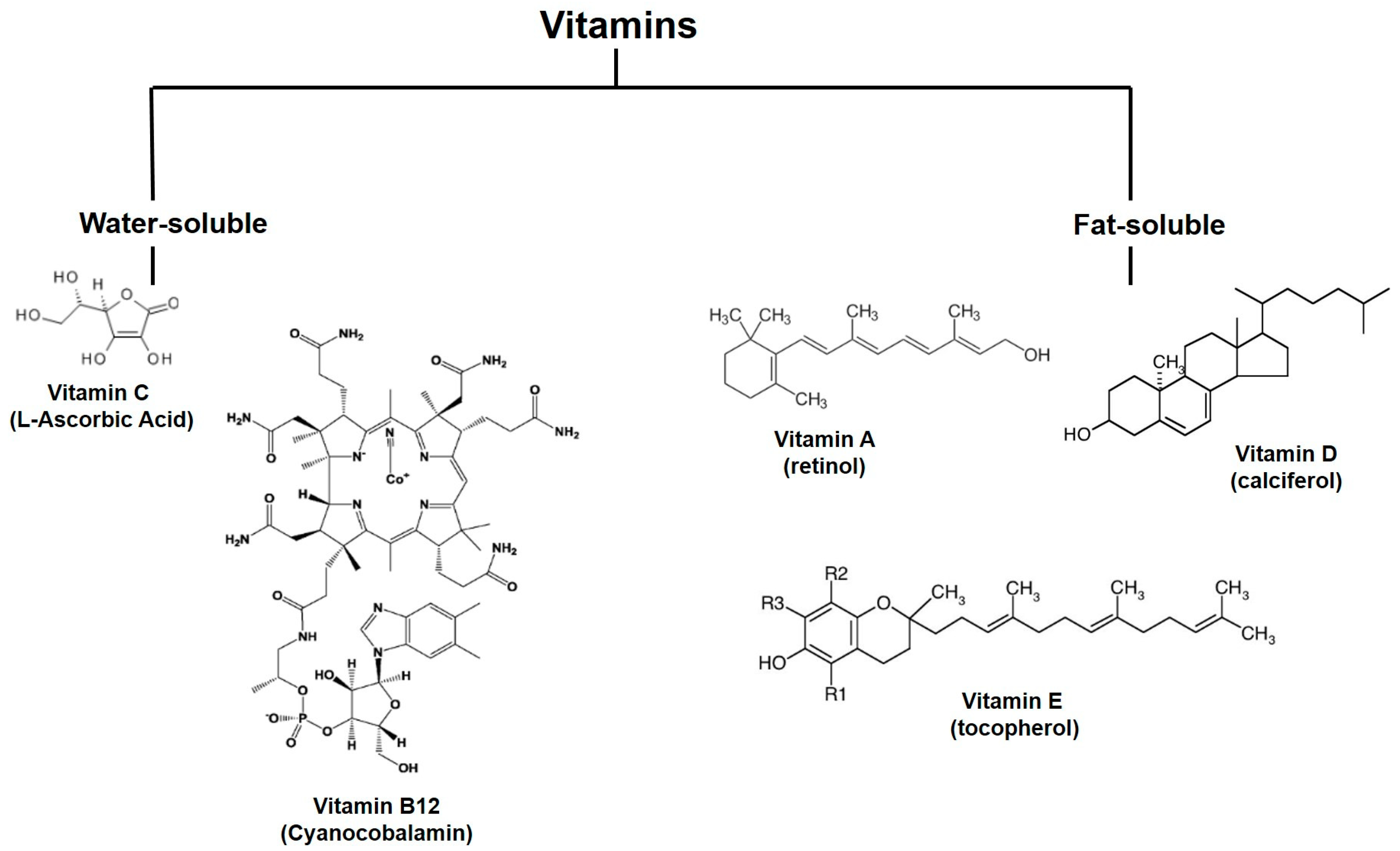 Molecules 28 07161 g004