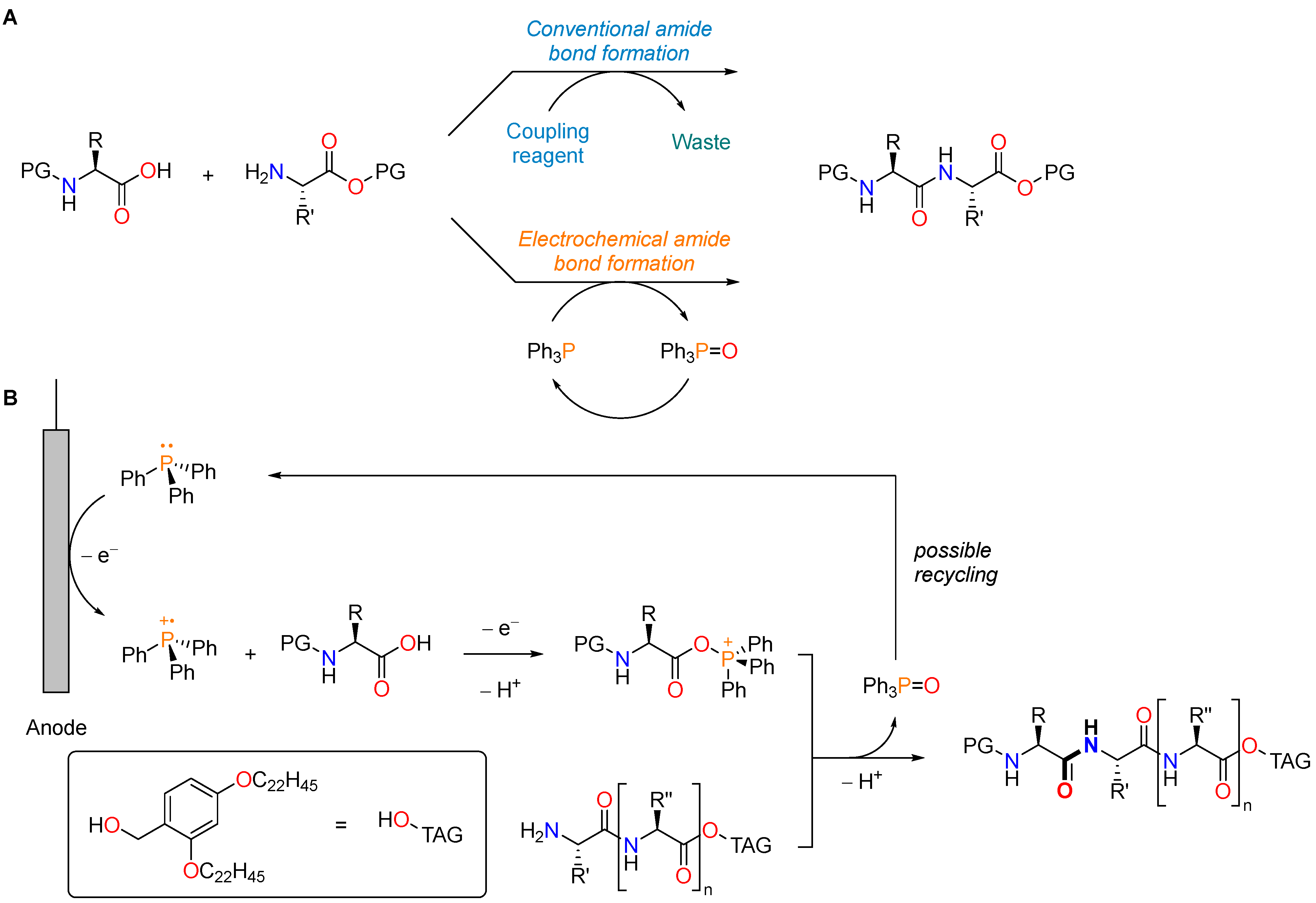 Molecules 28 07165 g022 Molecules 28 07165 g022