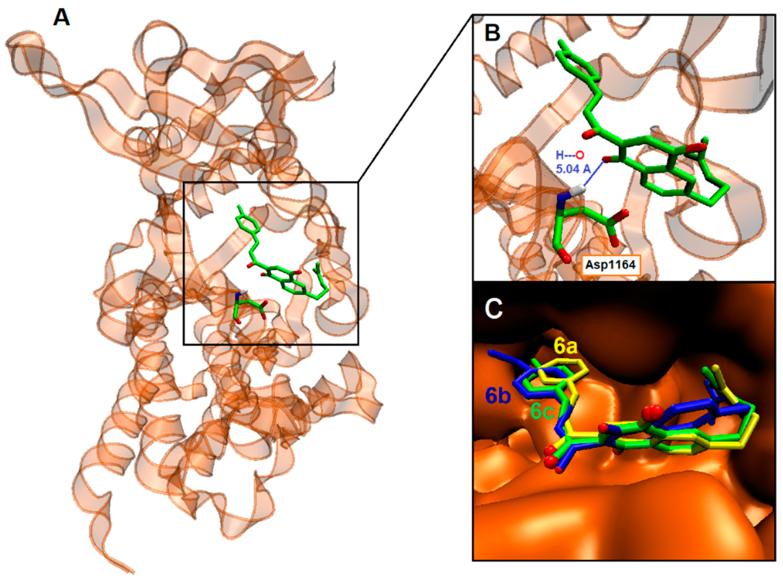 Molecules 28 07172 g004