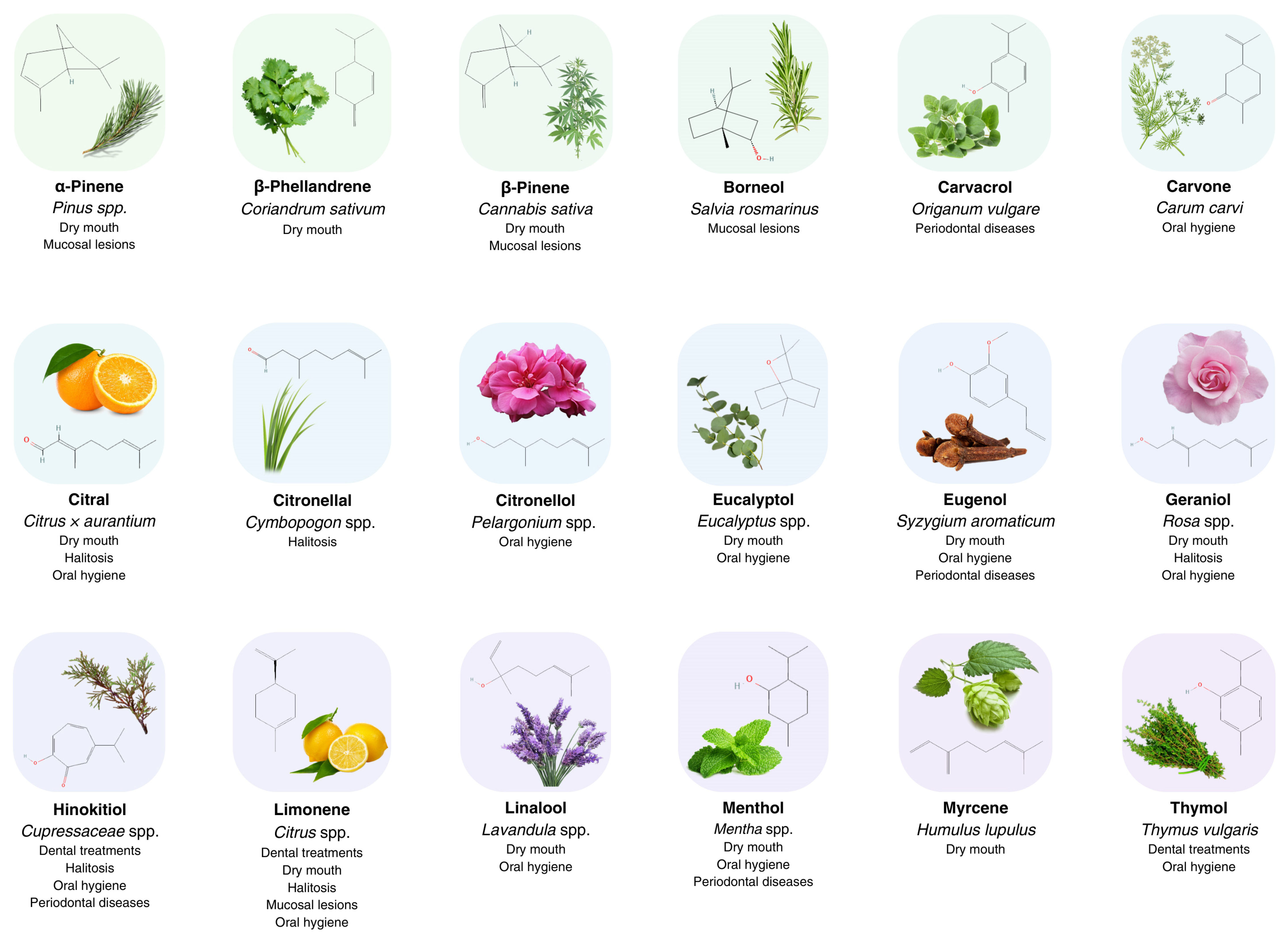 Molecules 28 07178 g001 Molecules 28 07178 g001