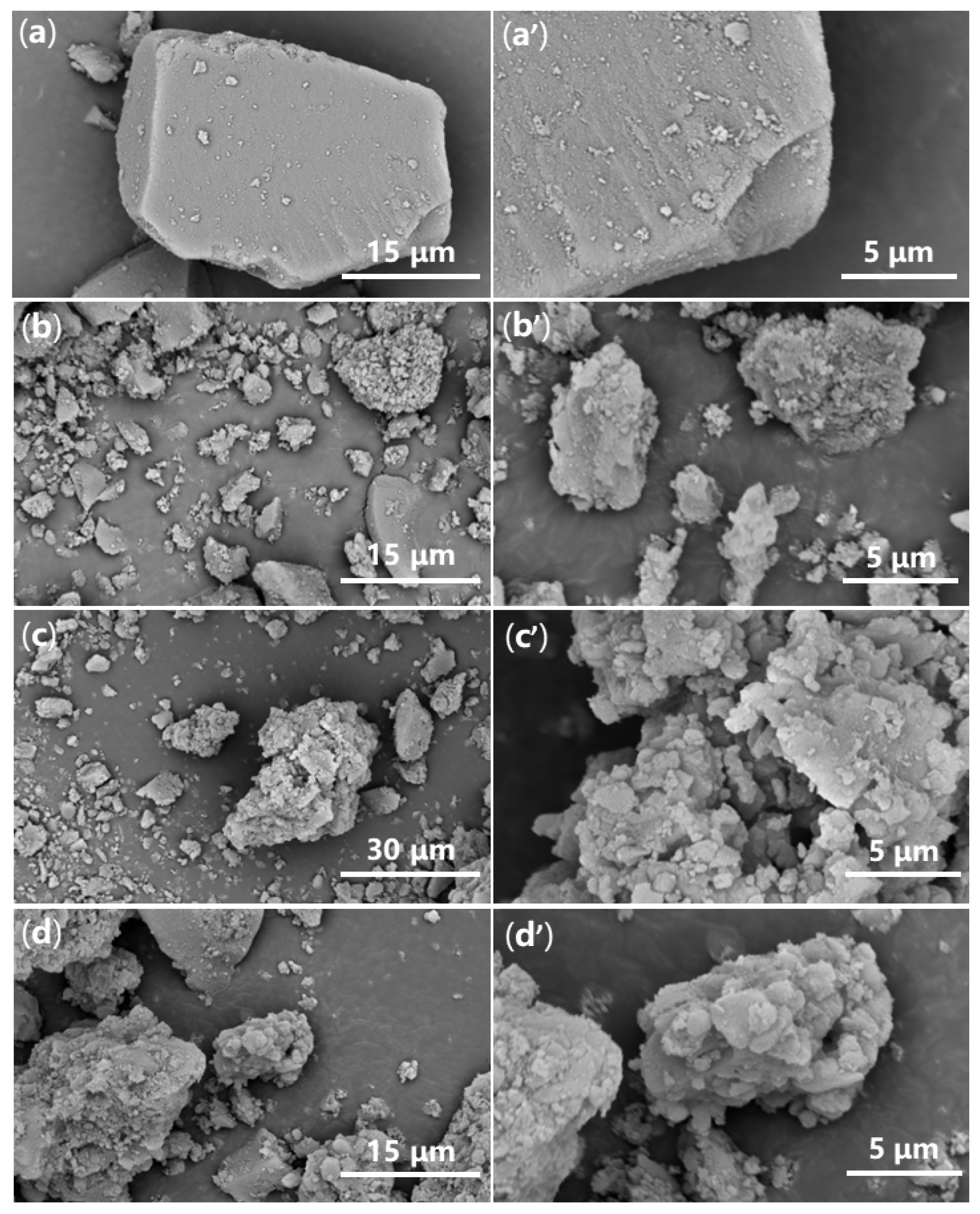 Molecules 28 07190 g008