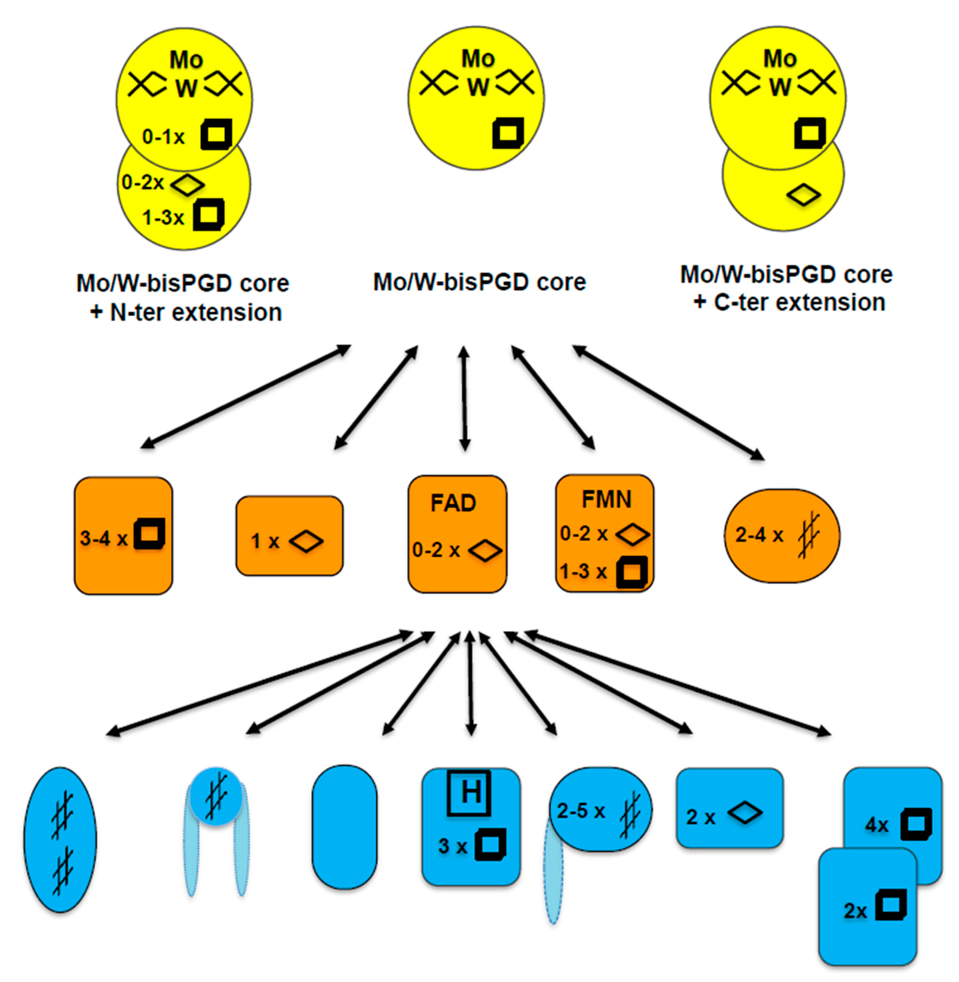 Molecules 28 07195 g001 Molecules 28 07195 g001