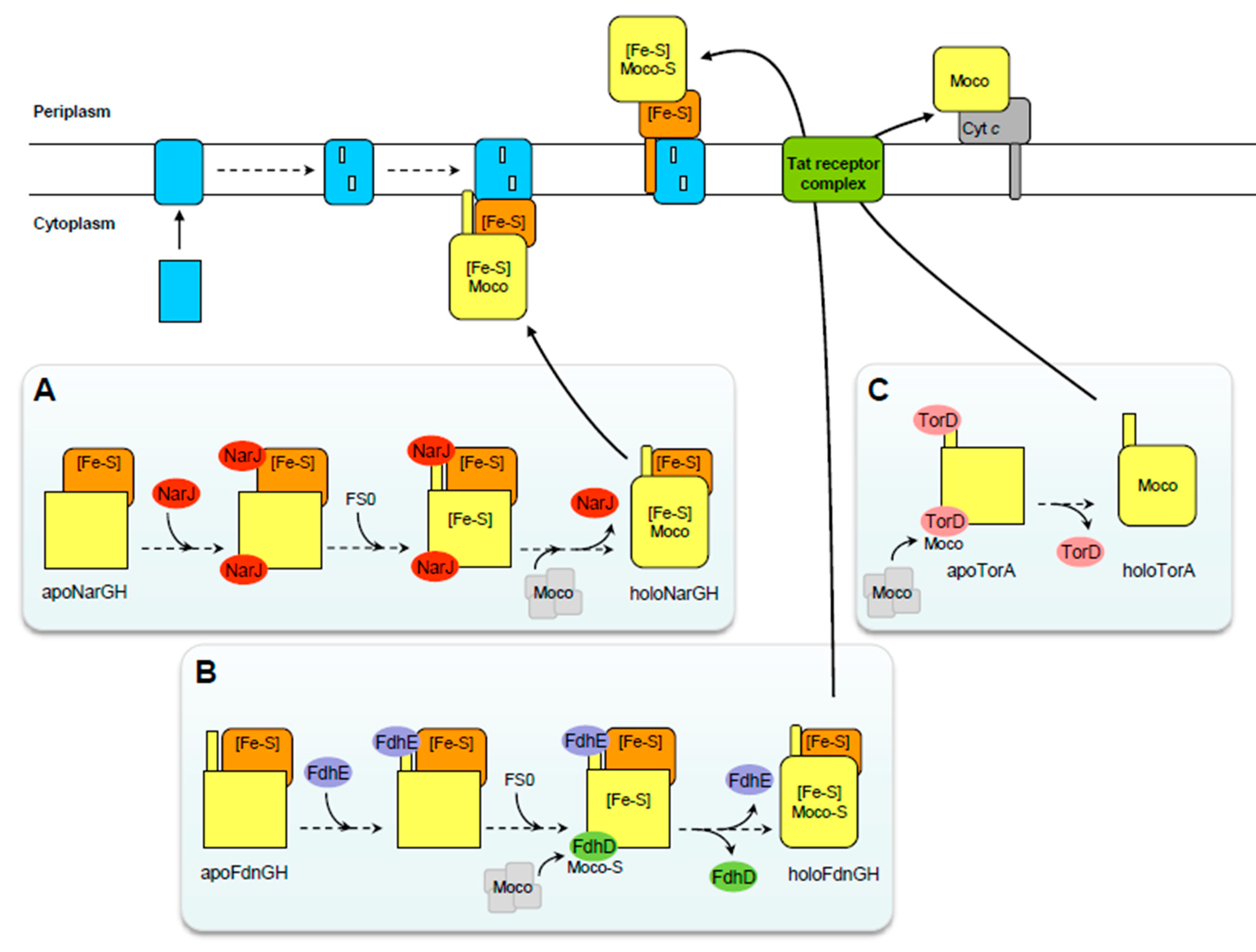 Molecules 28 07195 g002 Molecules 28 07195 g002