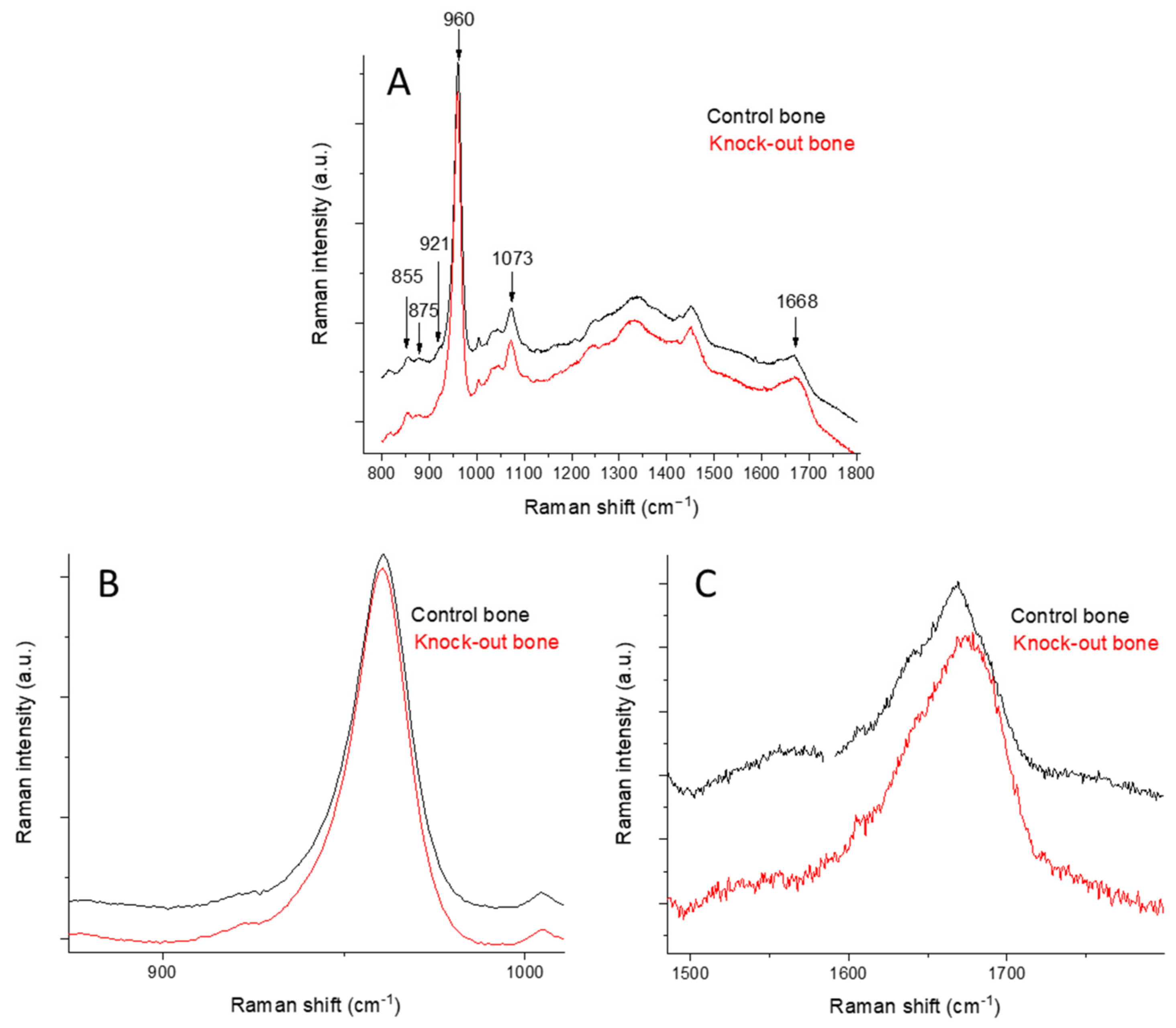 Molecules 28 07196 g001