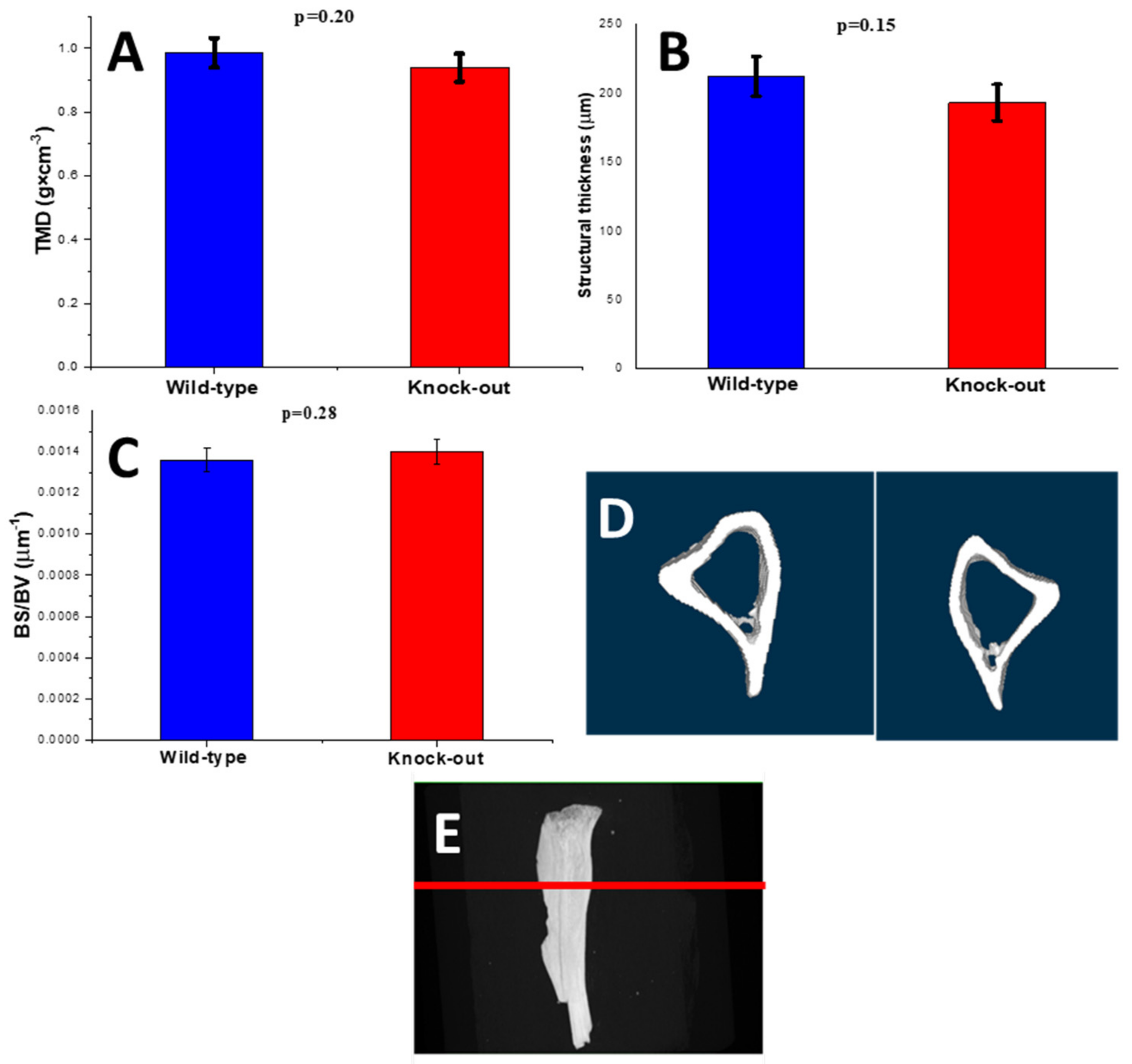 Molecules 28 07196 g008