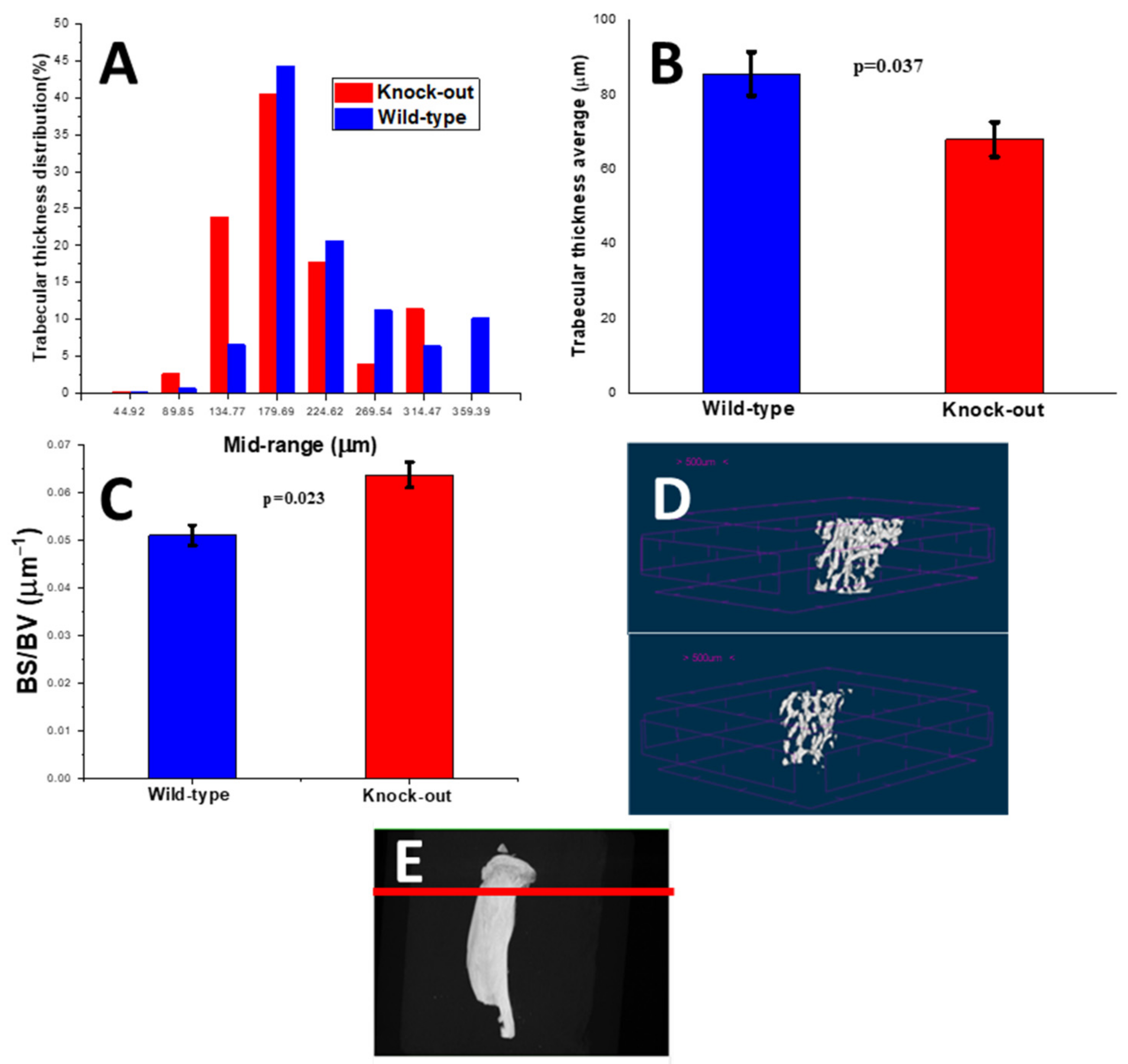 Molecules 28 07196 g010