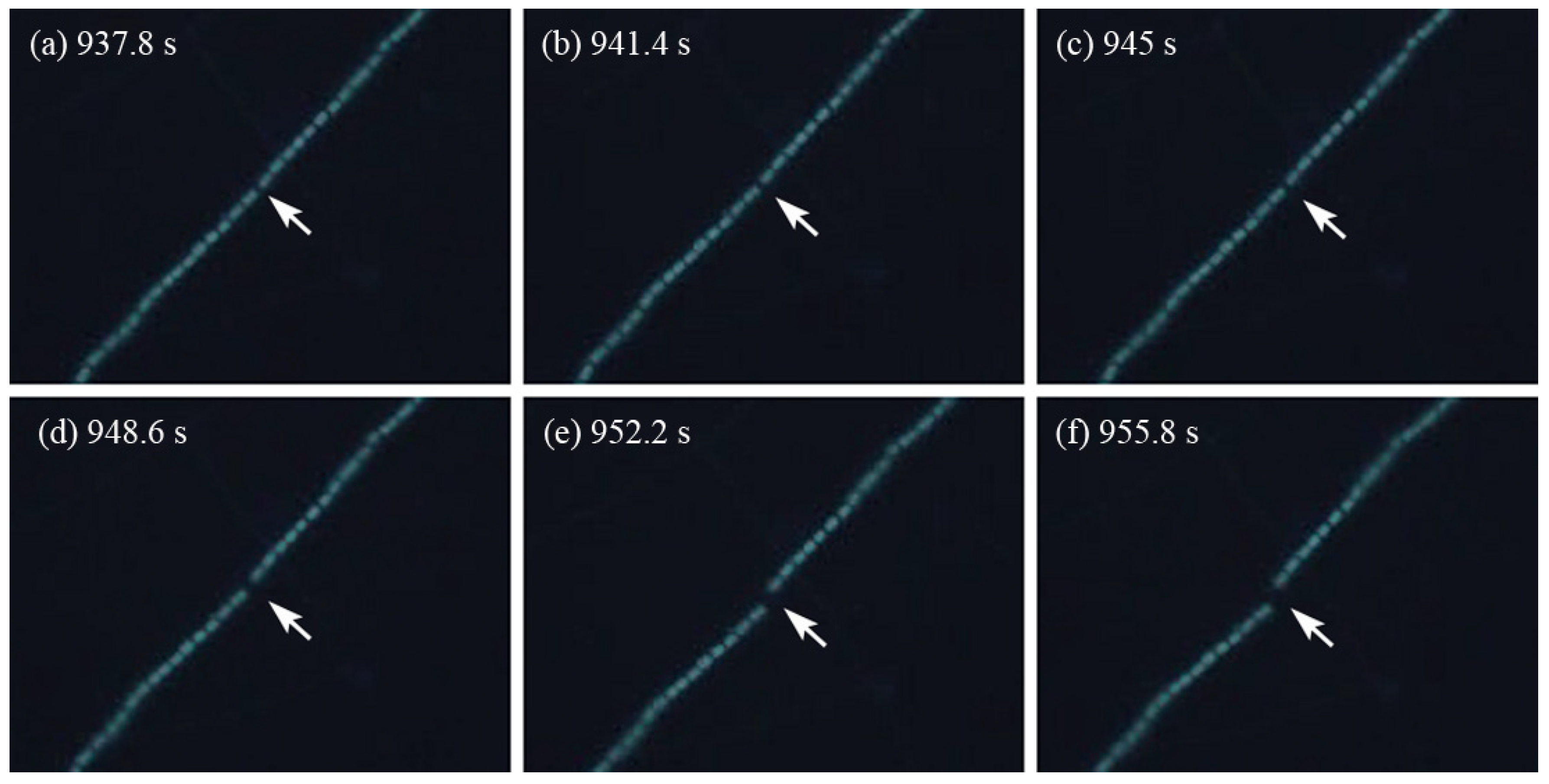 Molecules 28 07200 g002 Molecules 28 07200 g002