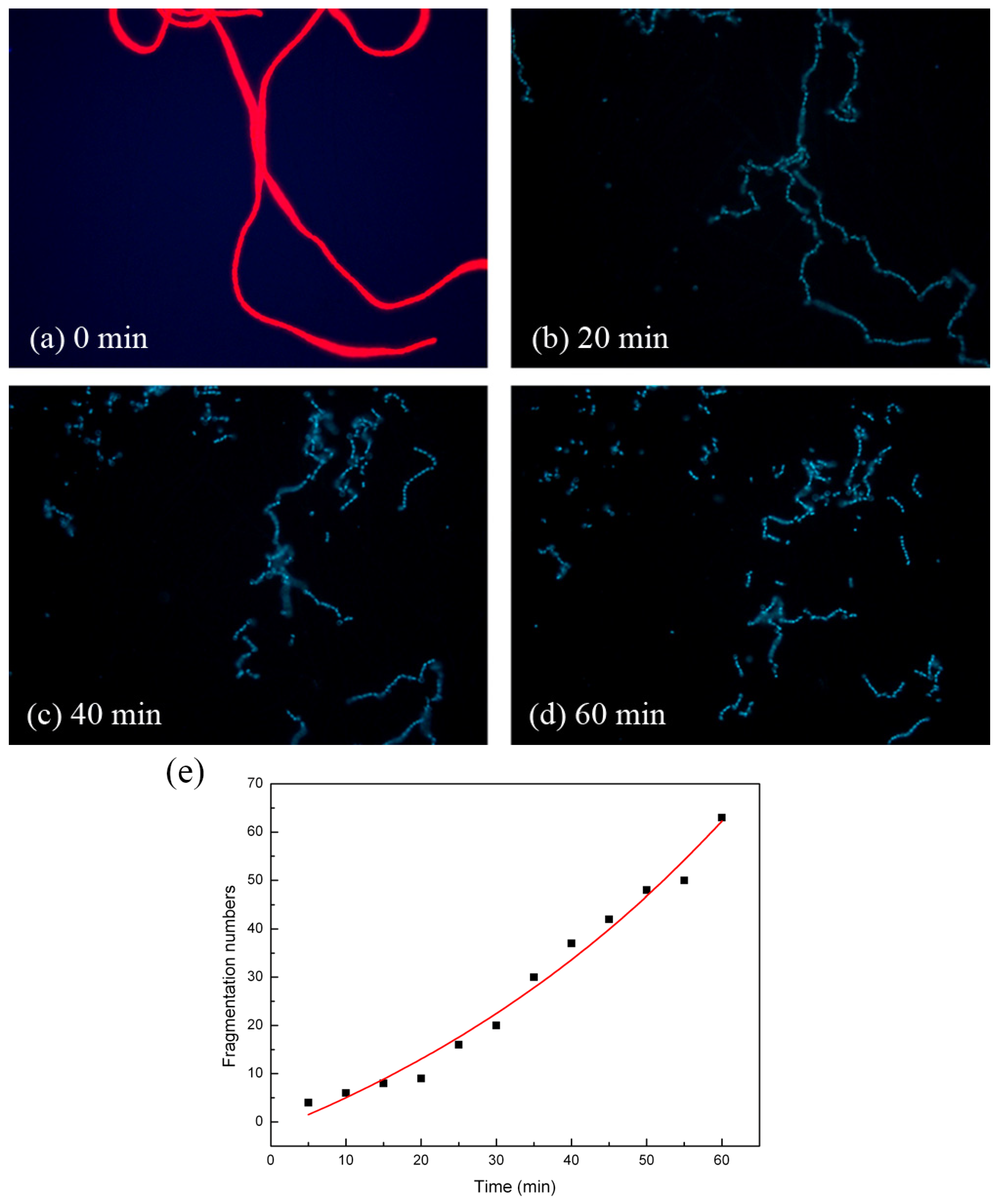 Molecules 28 07200 g003 Molecules 28 07200 g003