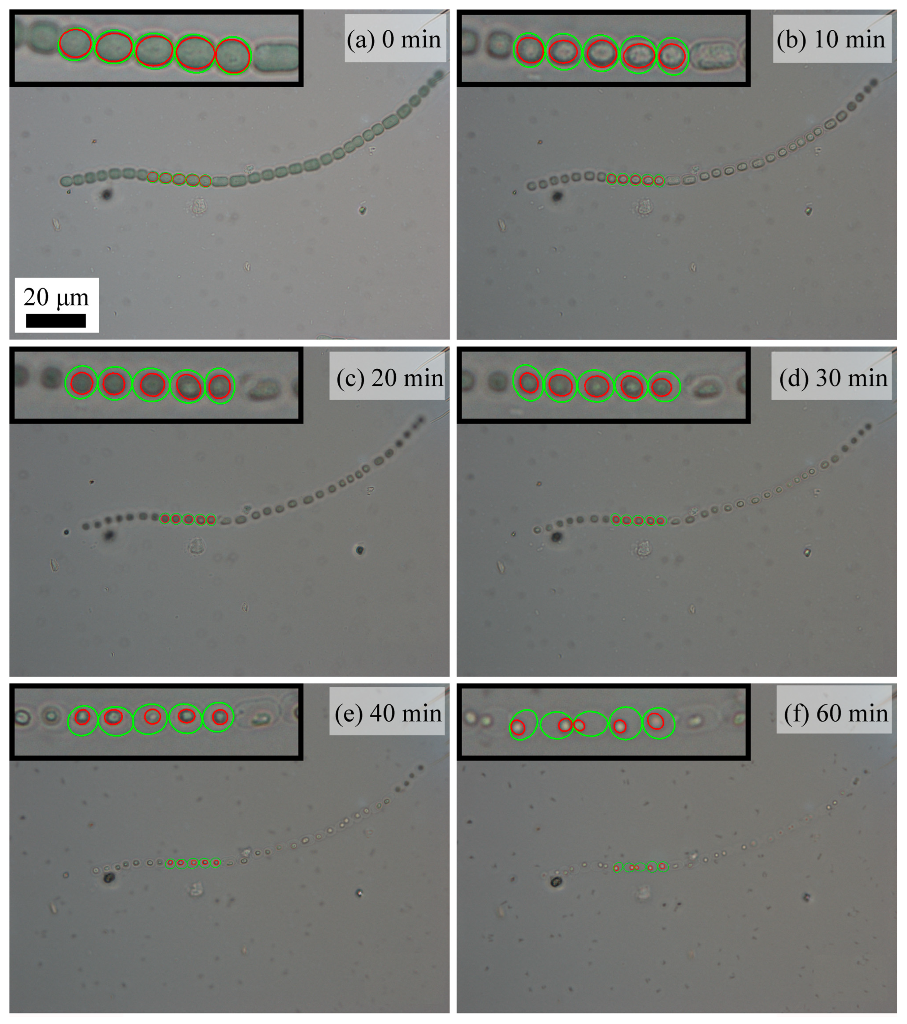 Molecules 28 07200 g004 Molecules 28 07200 g004