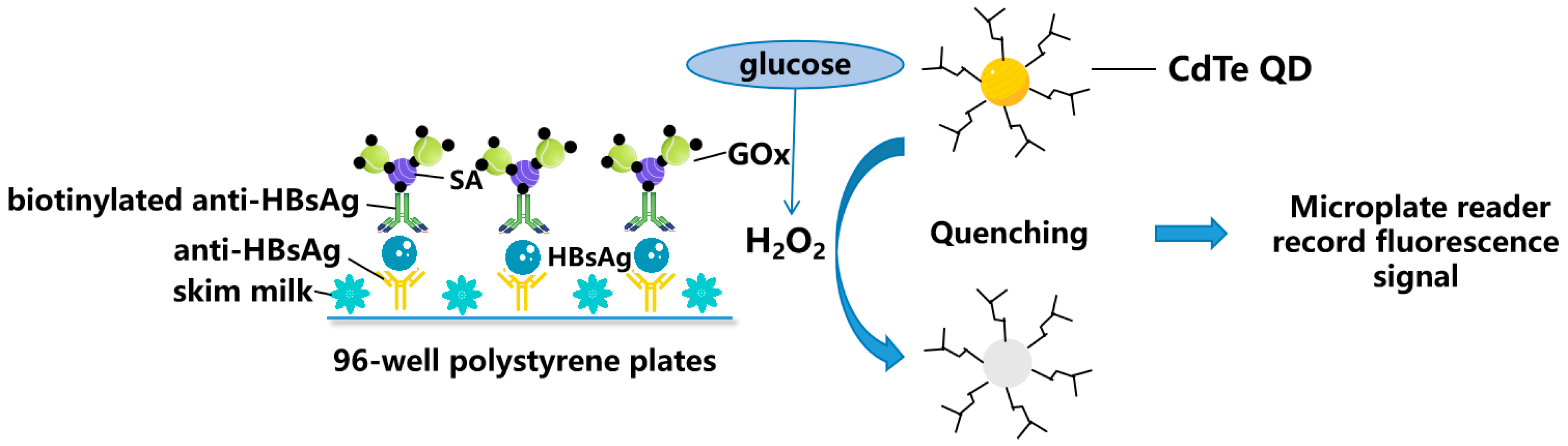 Molecules 28 07201 g002 Molecules 28 07201 g002