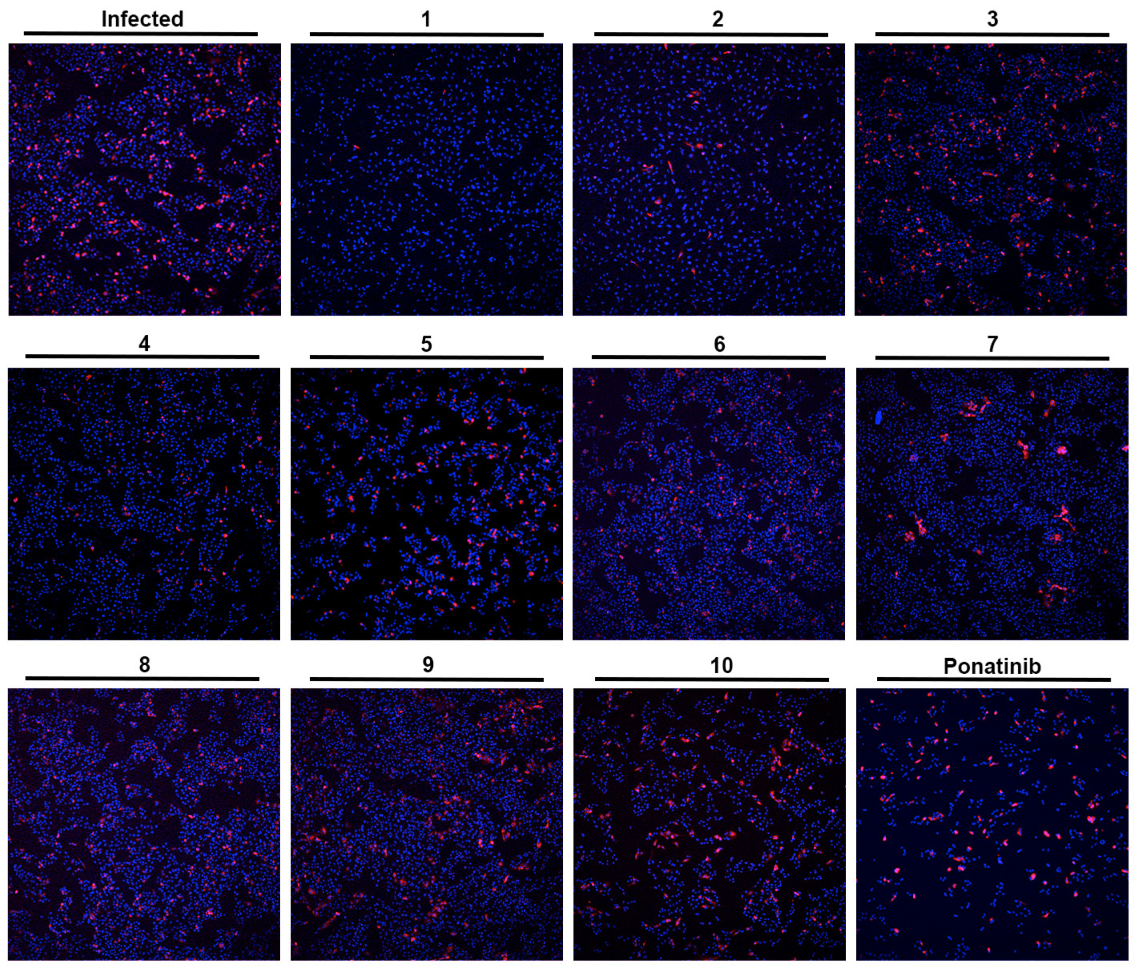 Molecules 28 07204 g003