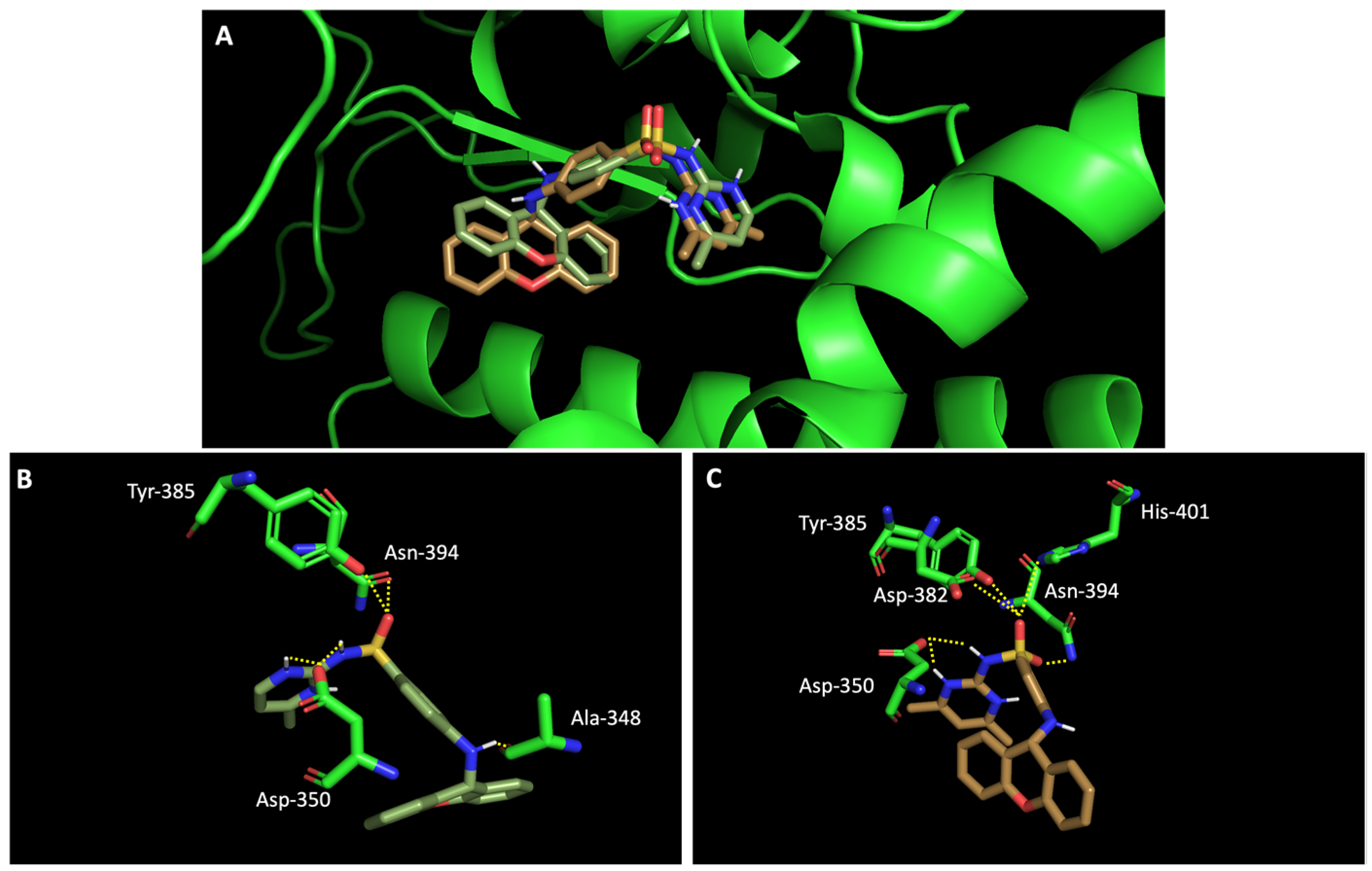 Molecules 28 07204 g004