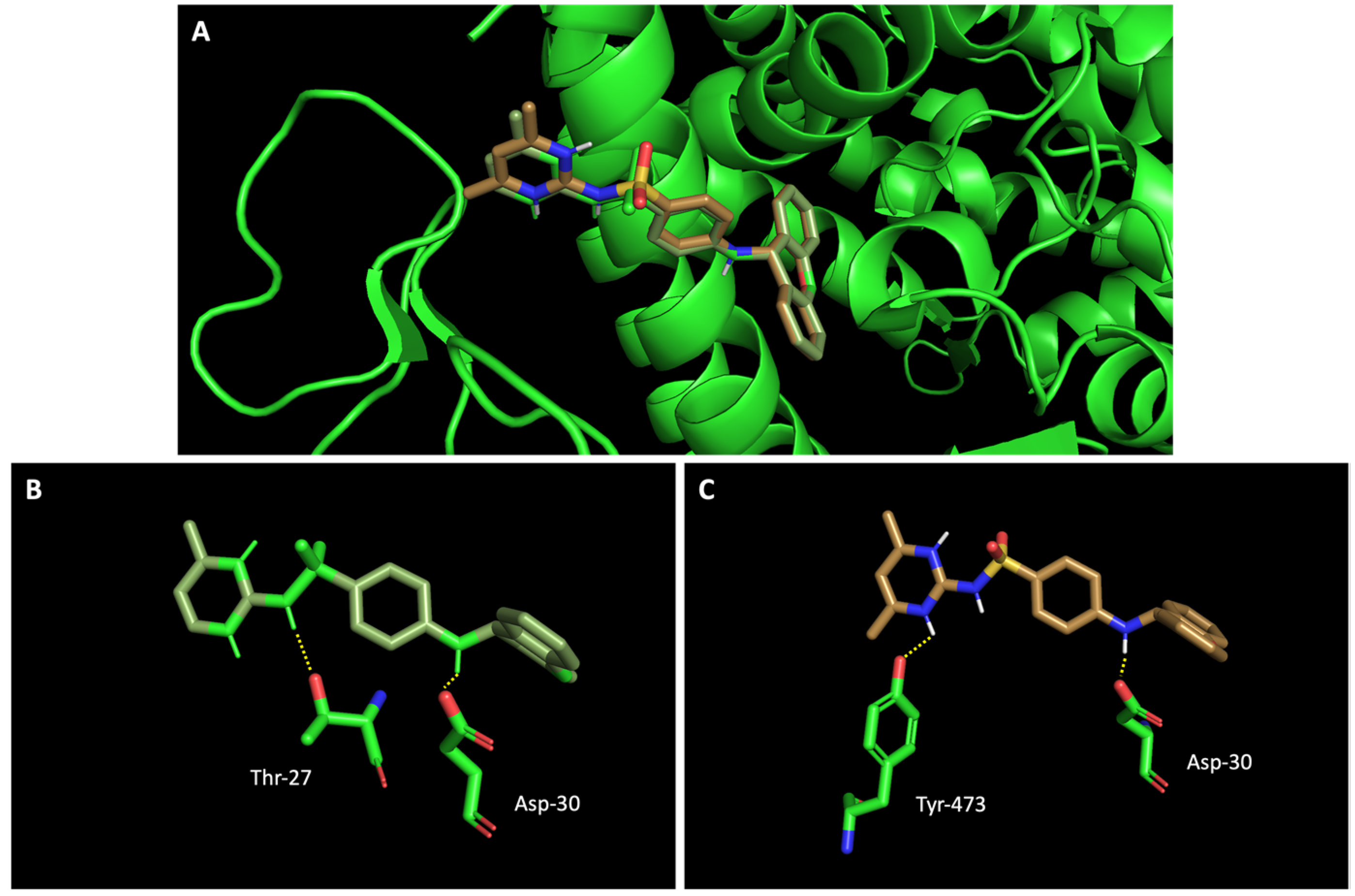 Molecules 28 07204 g005