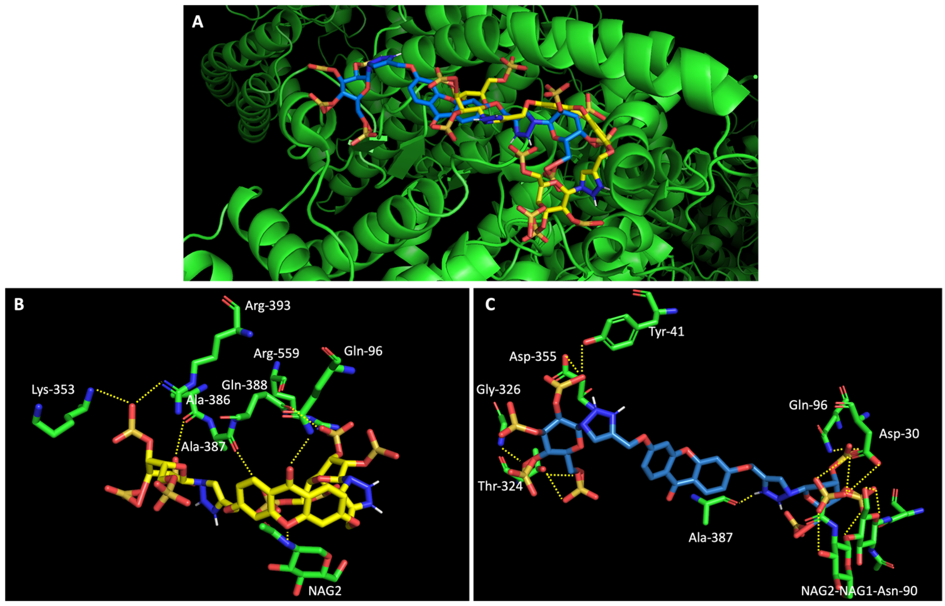 Molecules 28 07204 g007