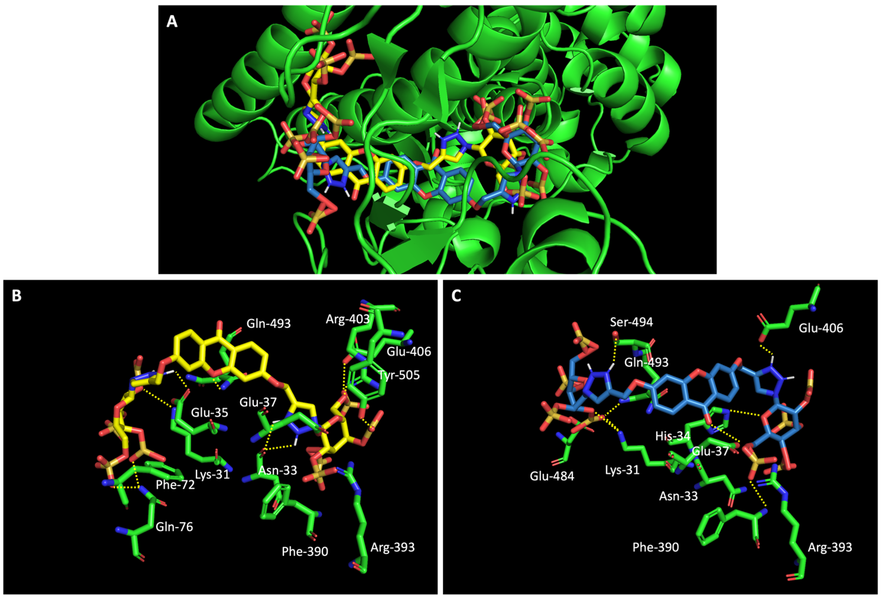 Molecules 28 07204 g008