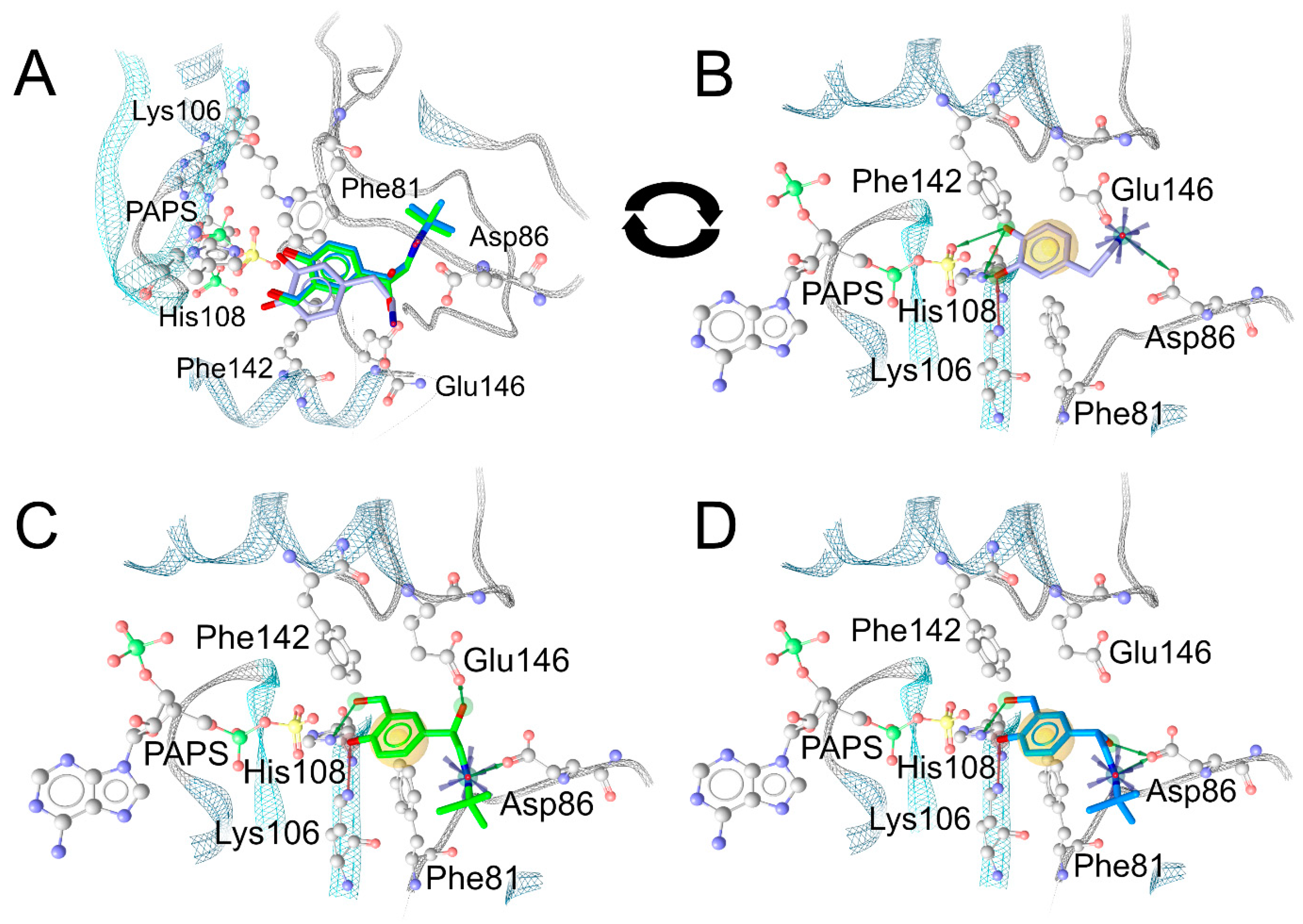Molecules 28 07206 g011