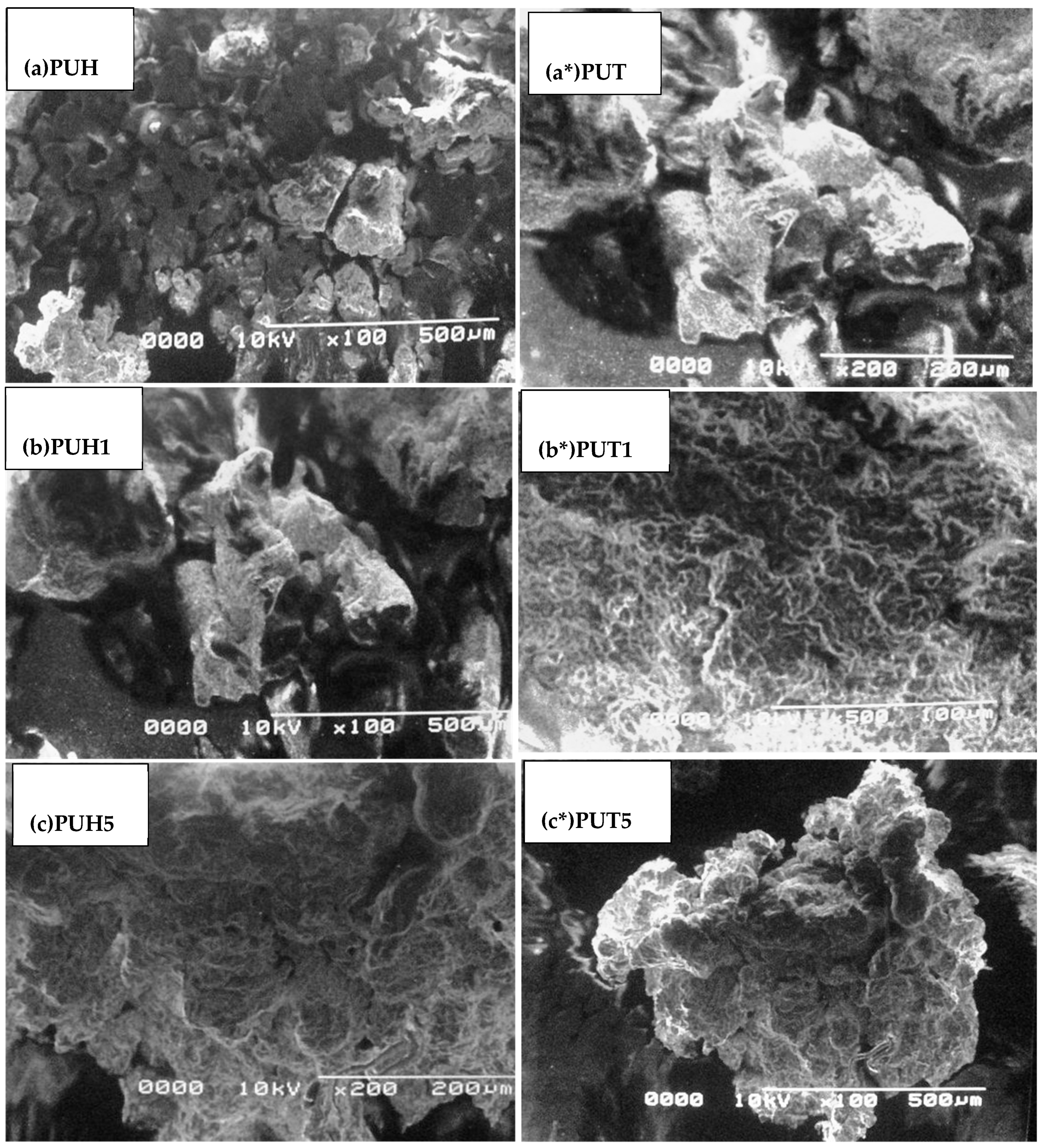 Molecules 28 07218 g007