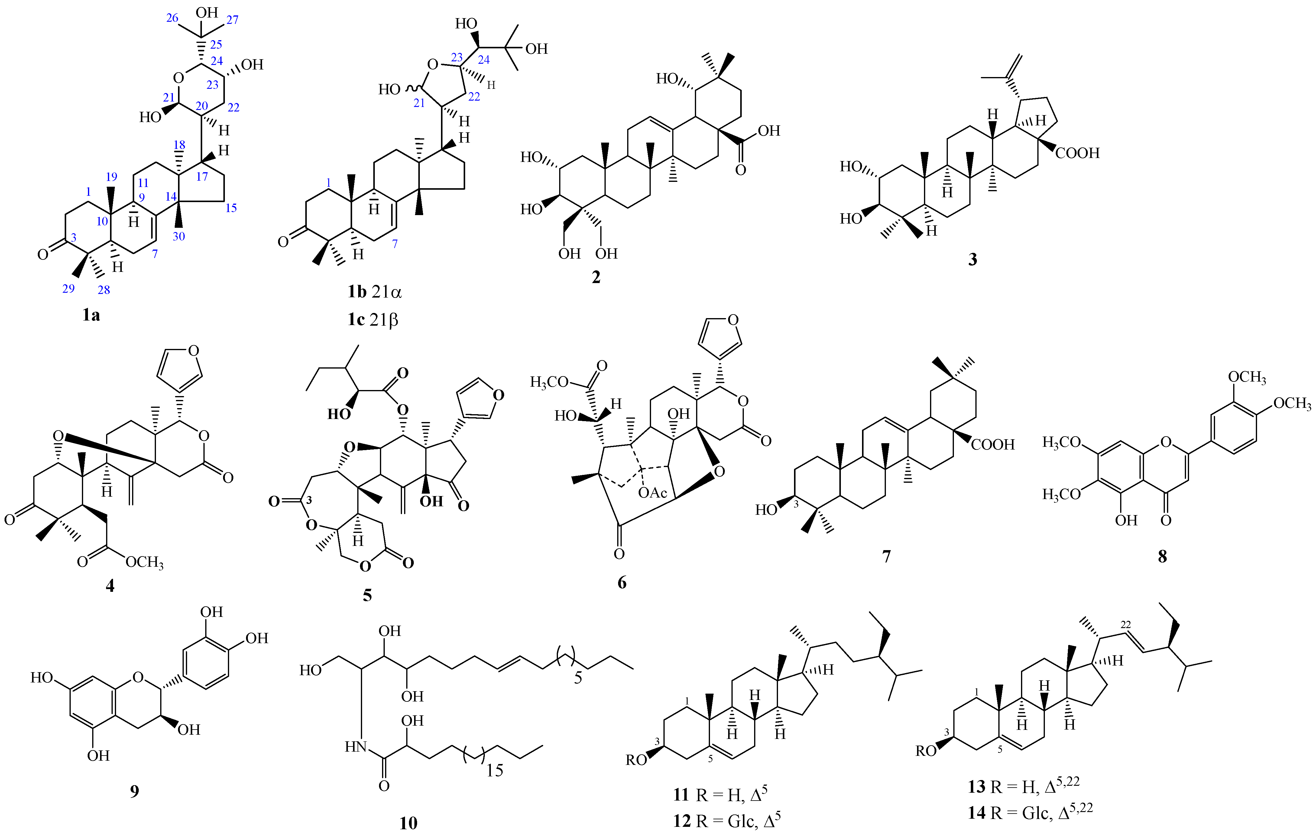 Molecules 28 07227 g001 Molecules 28 07227 g001
