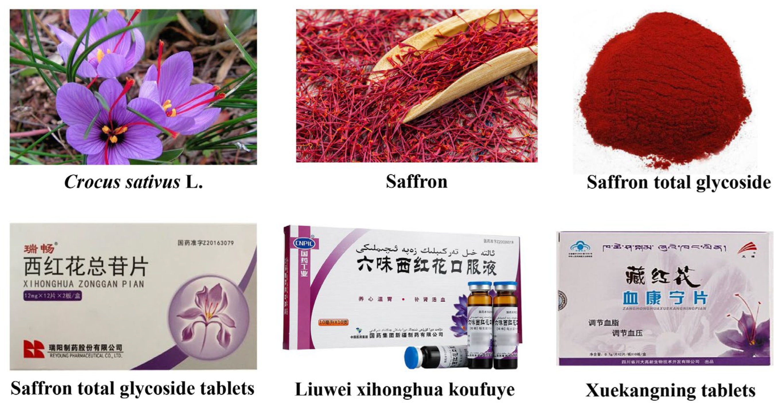 Molecules 28 07238 g001