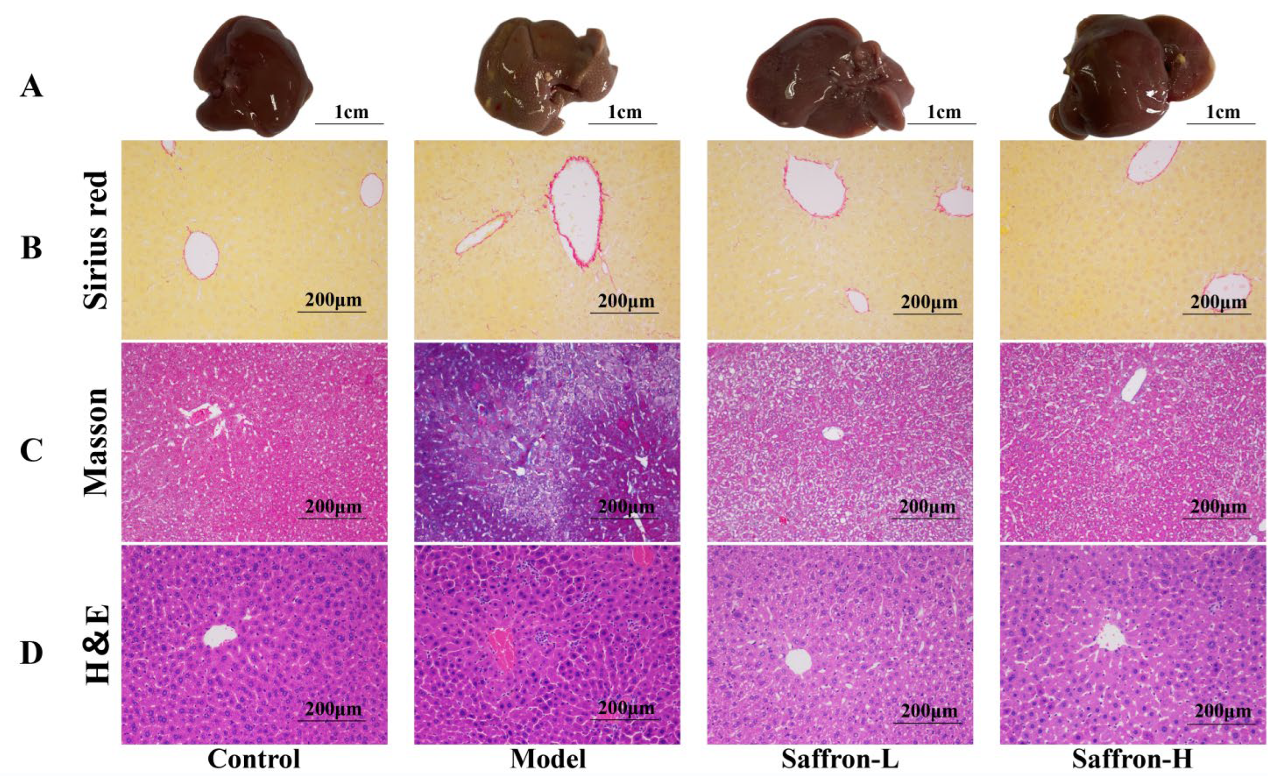 Molecules 28 07238 g008