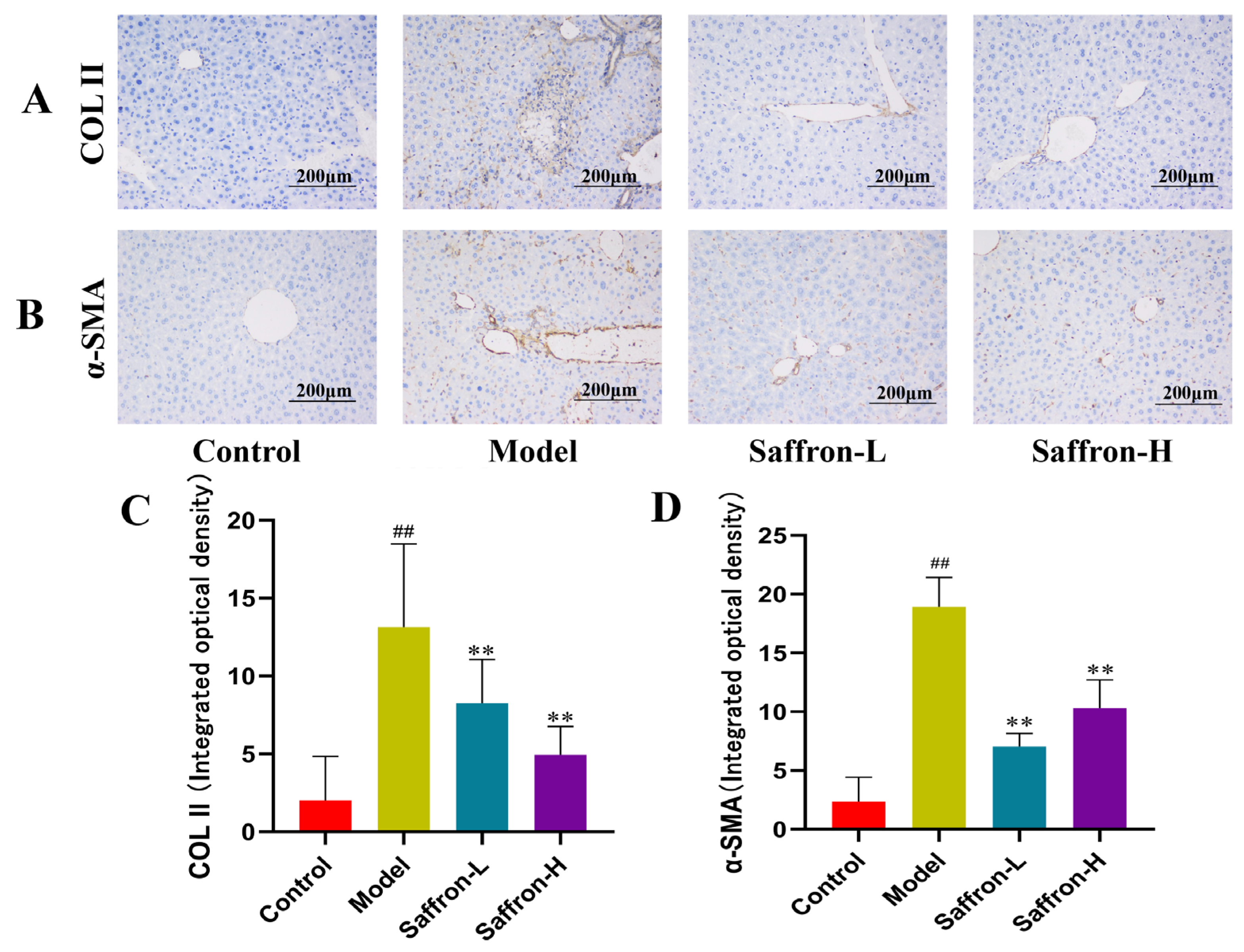 Molecules 28 07238 g009