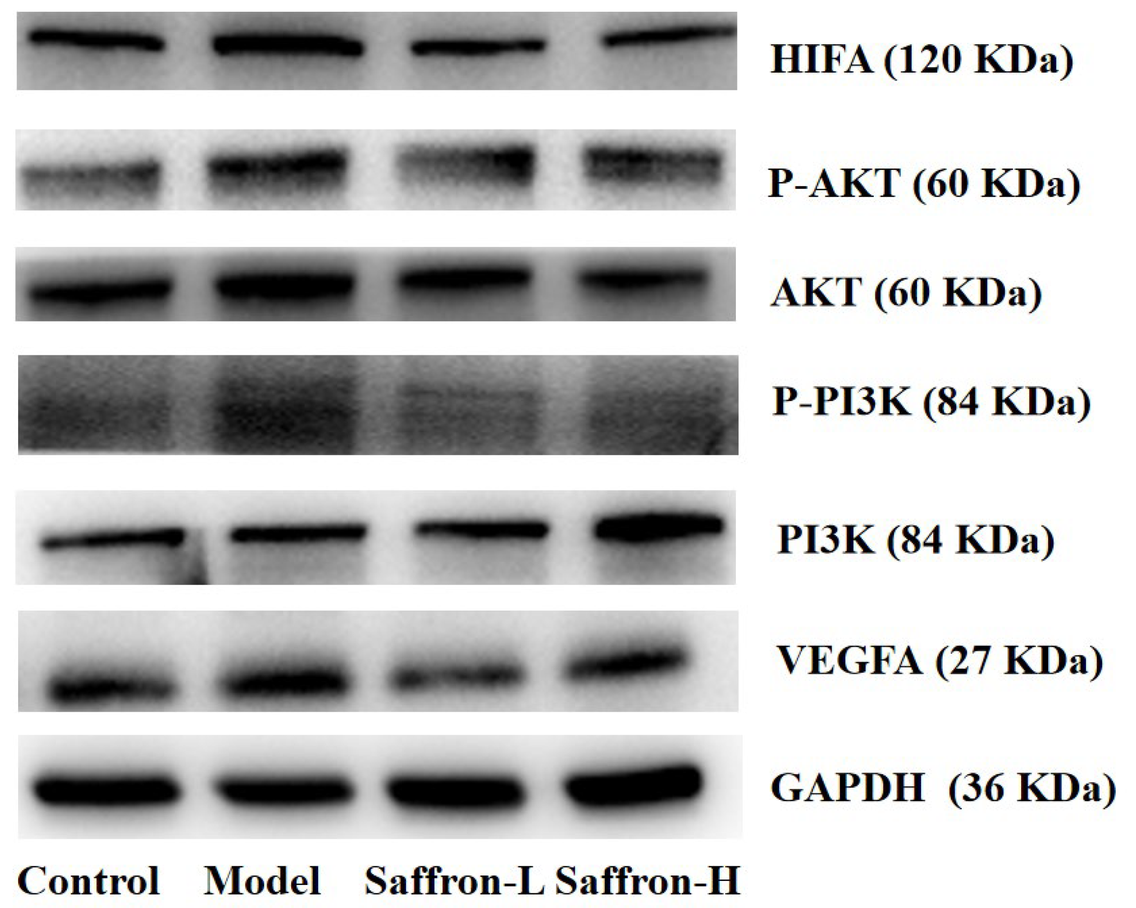 Molecules 28 07238 g011a