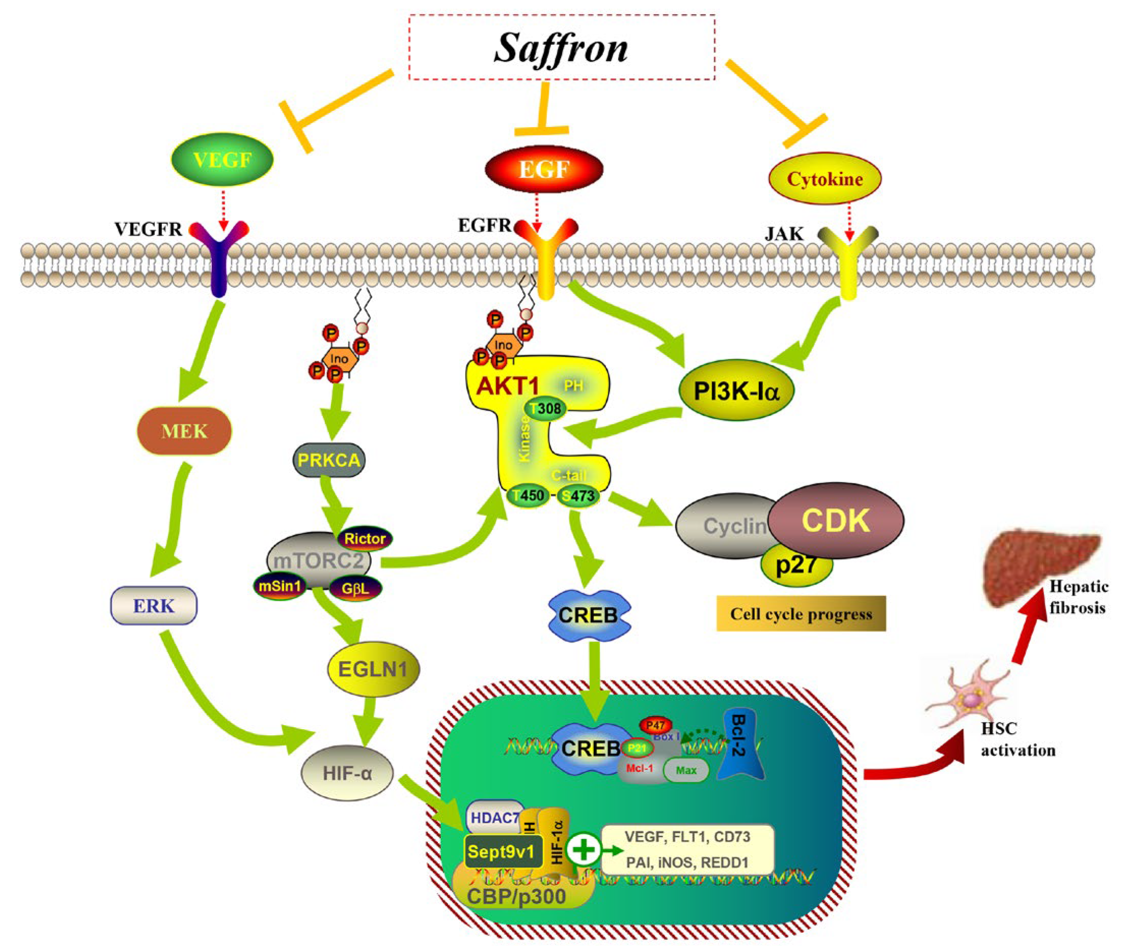 Molecules 28 07238 g012