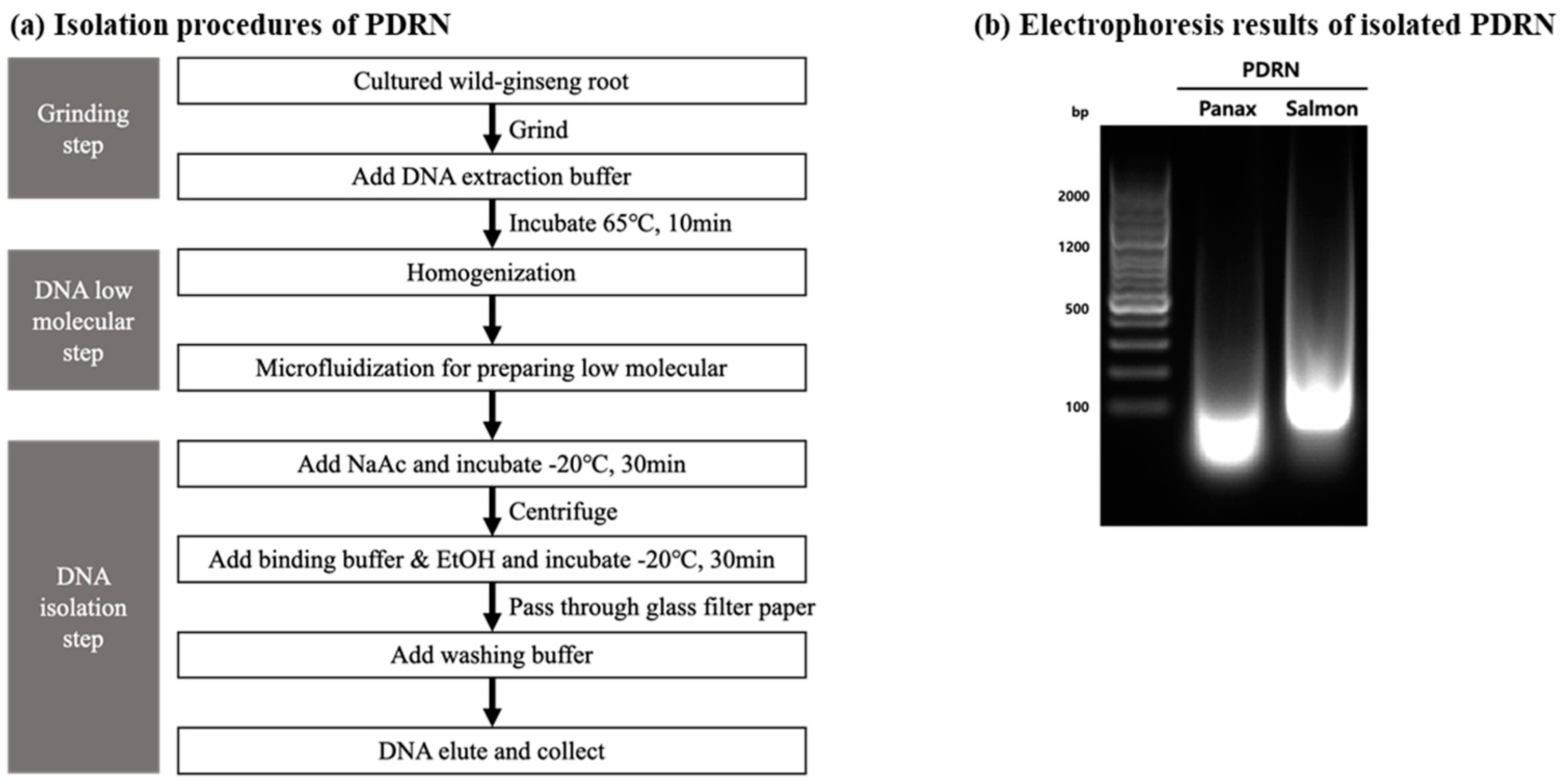 Molecules 28 07240 g001