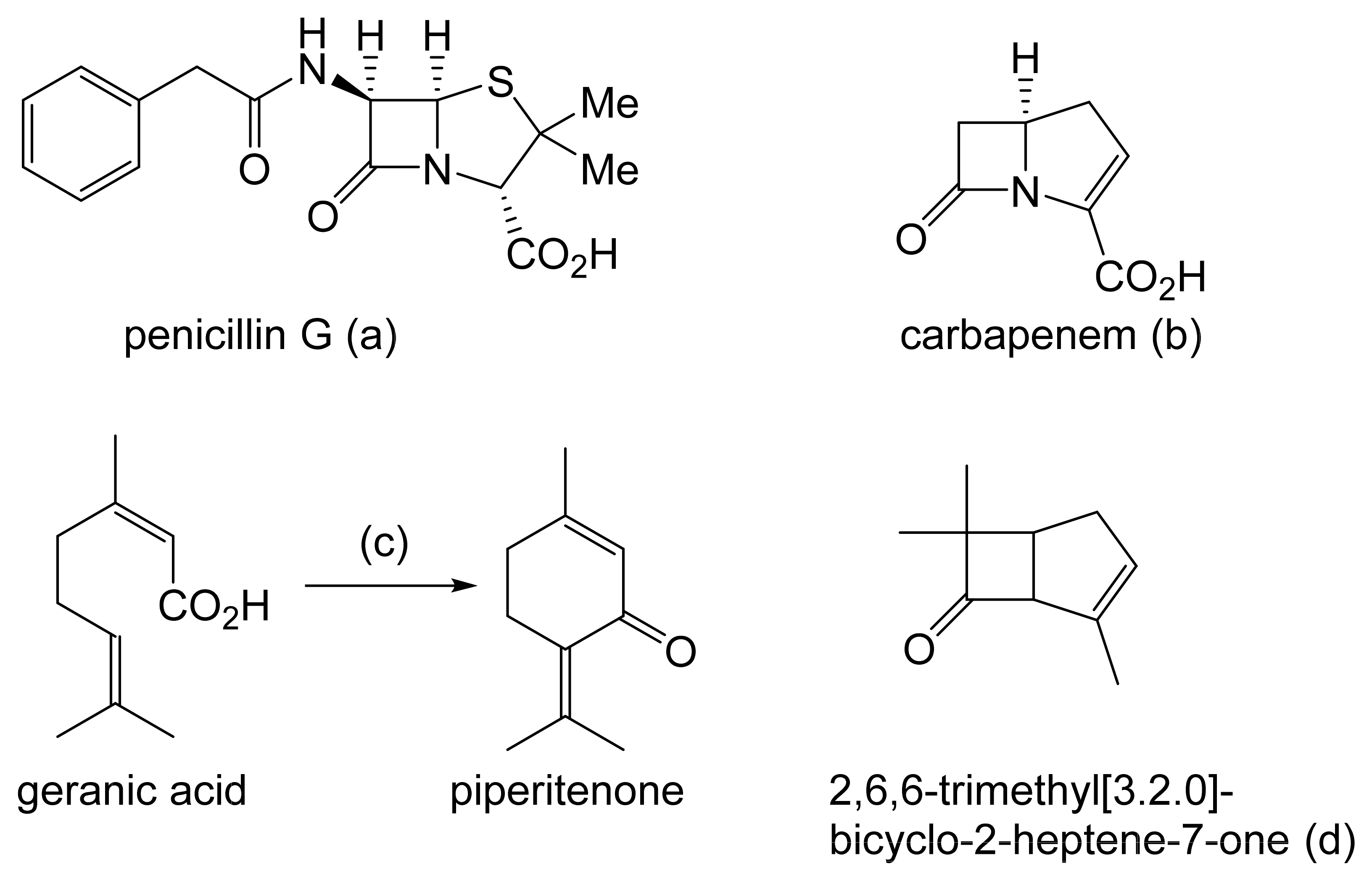Molecules 28 07249 g001