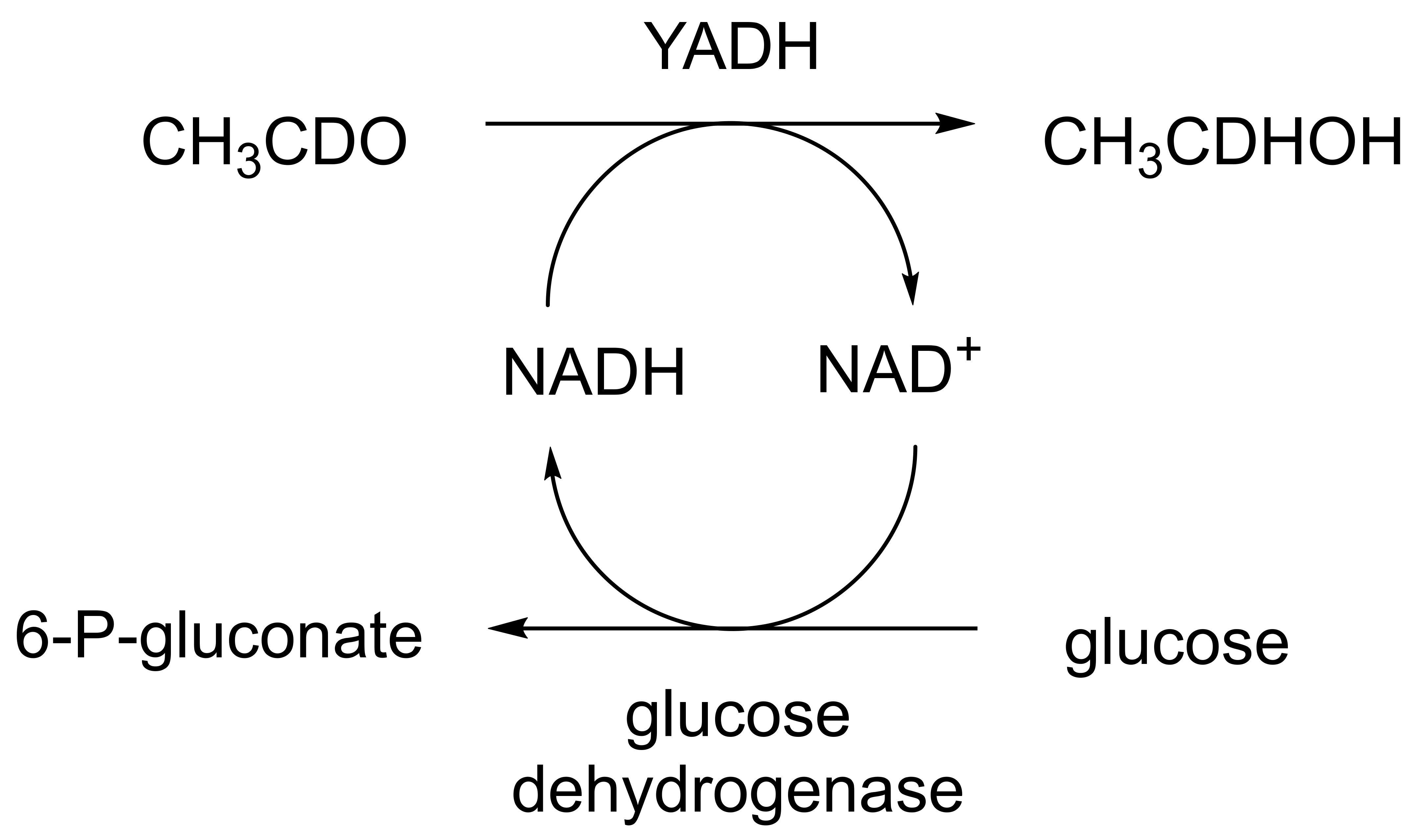Molecules 28 07249 g004