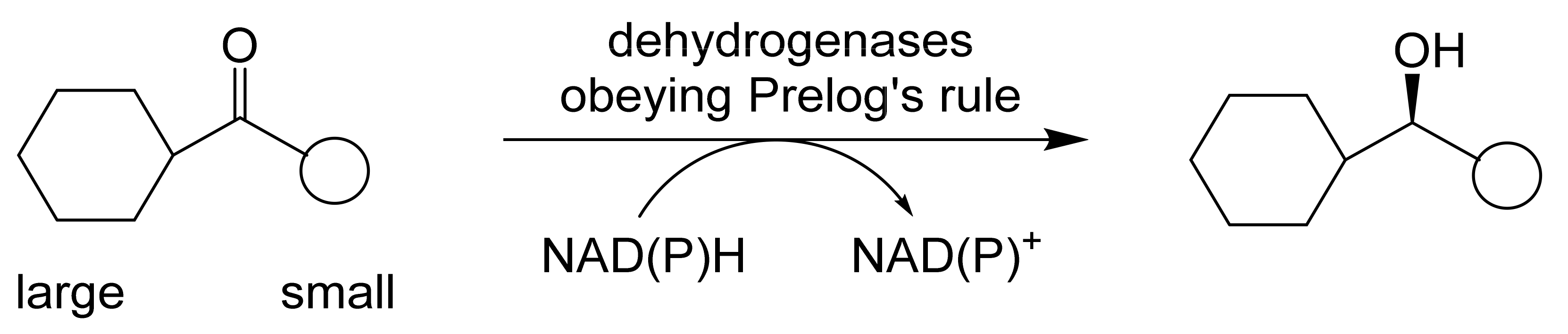 Molecules 28 07249 g005