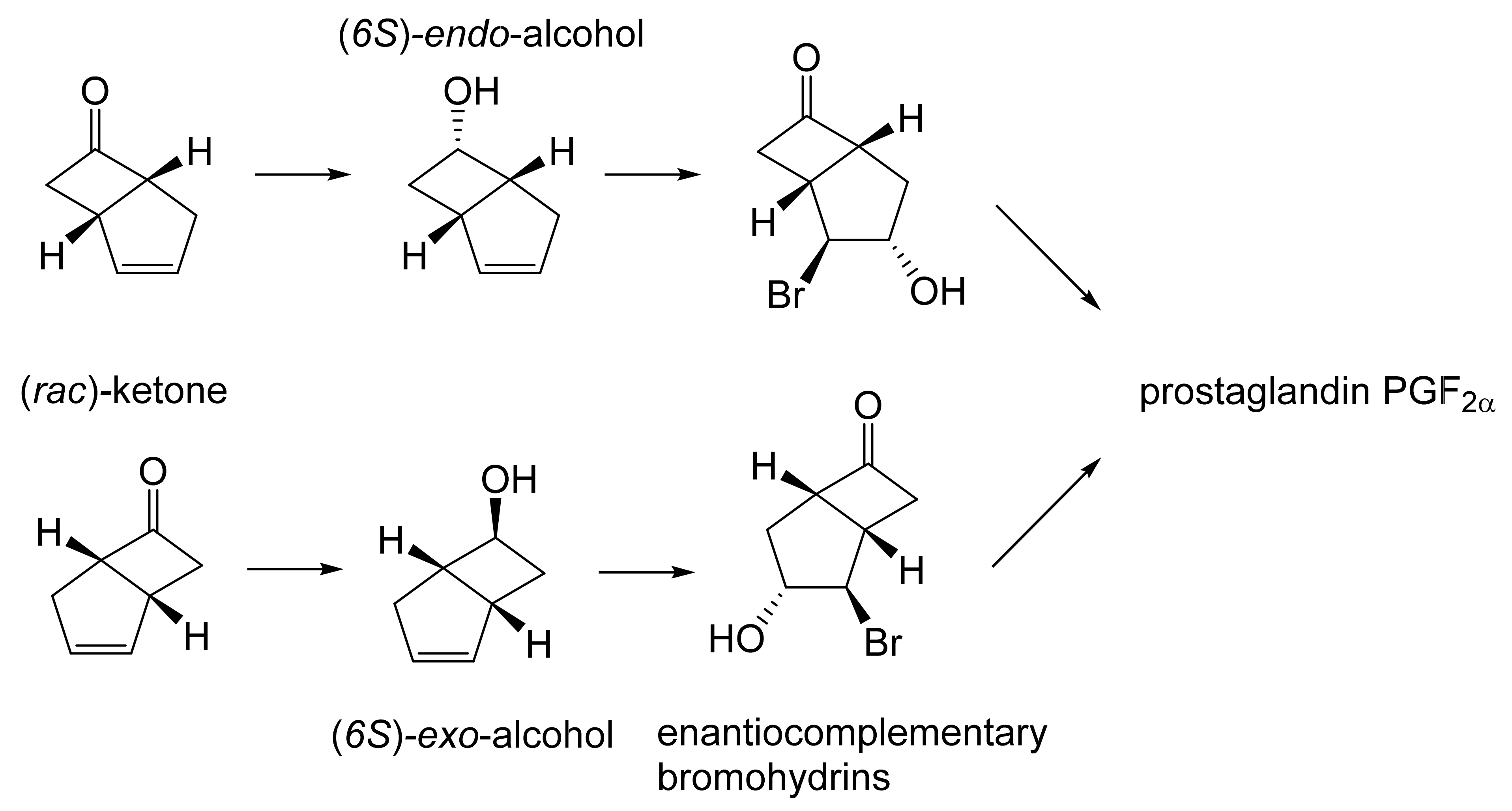 Molecules 28 07249 g007