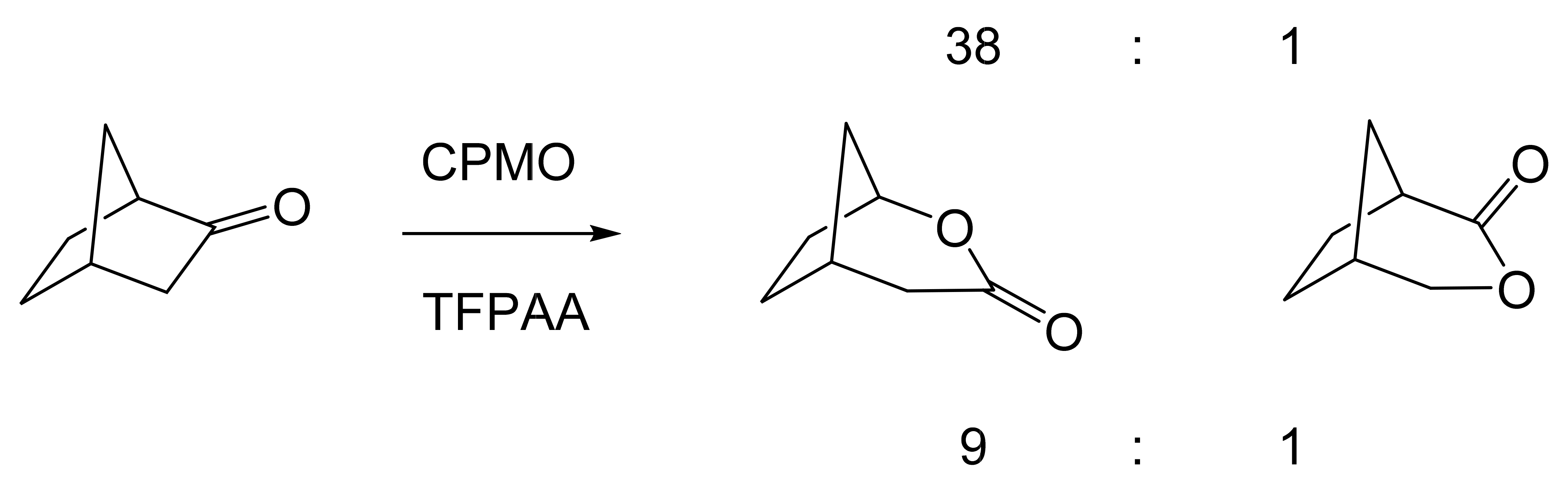 Molecules 28 07249 g011