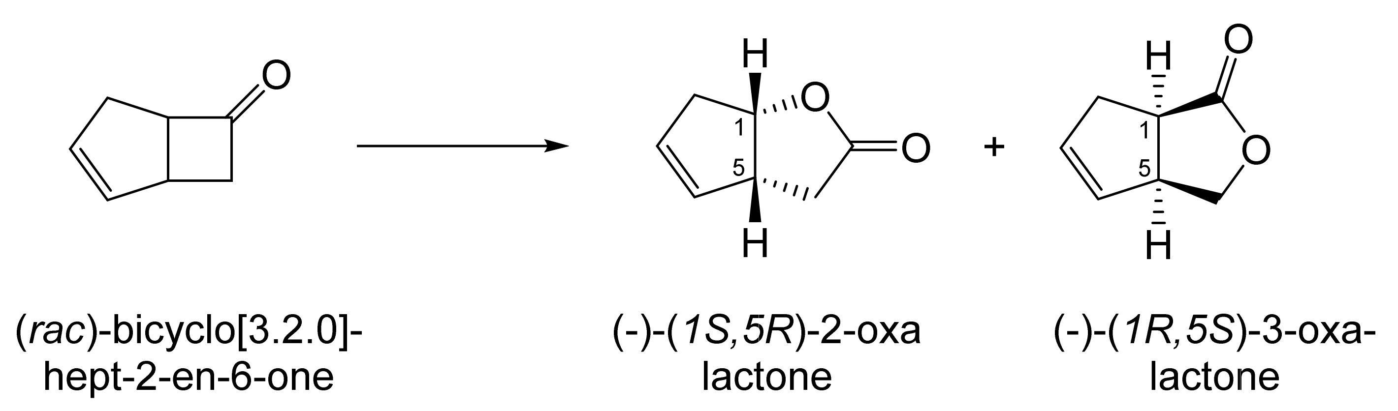 Molecules 28 07249 g012