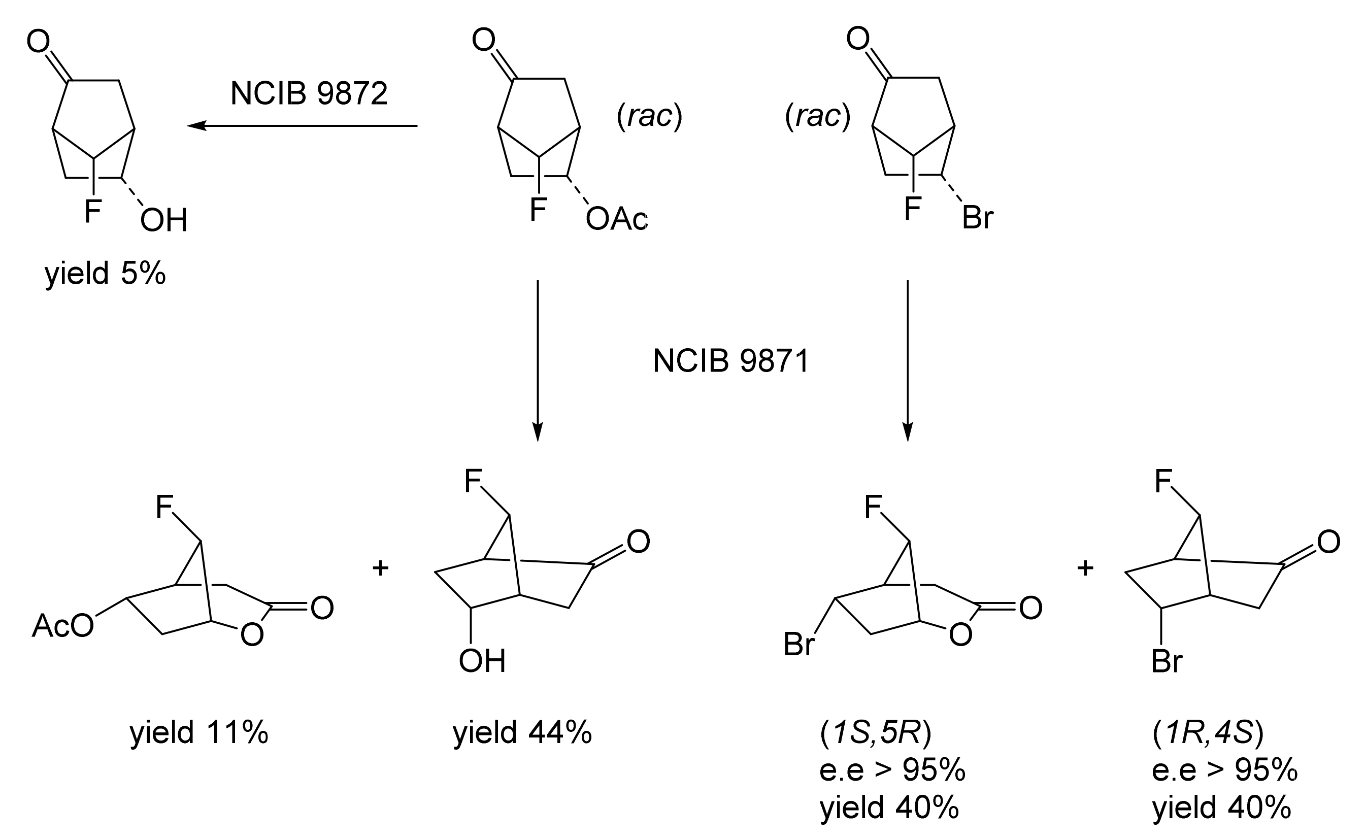Molecules 28 07249 g013