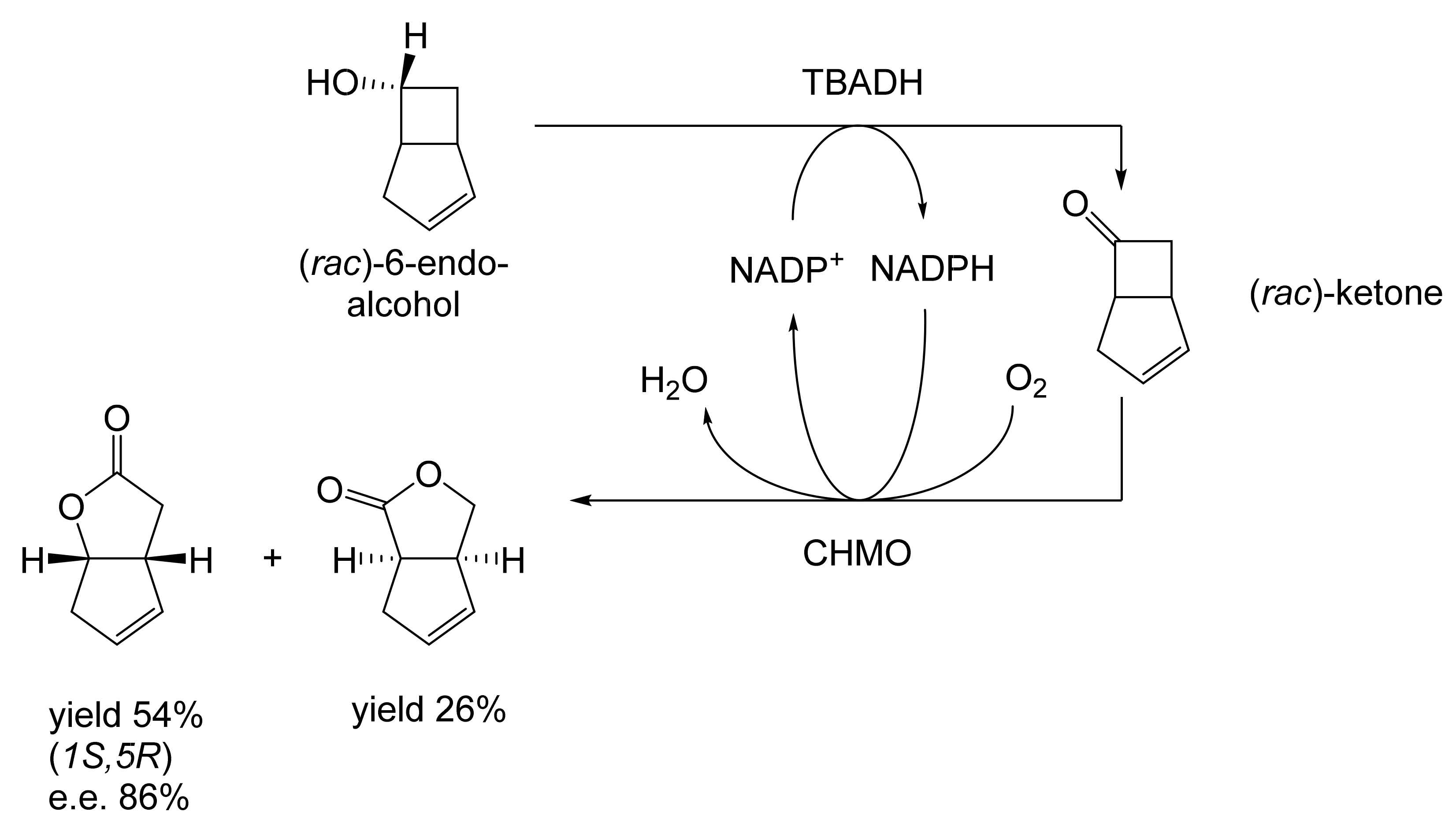 Molecules 28 07249 g015