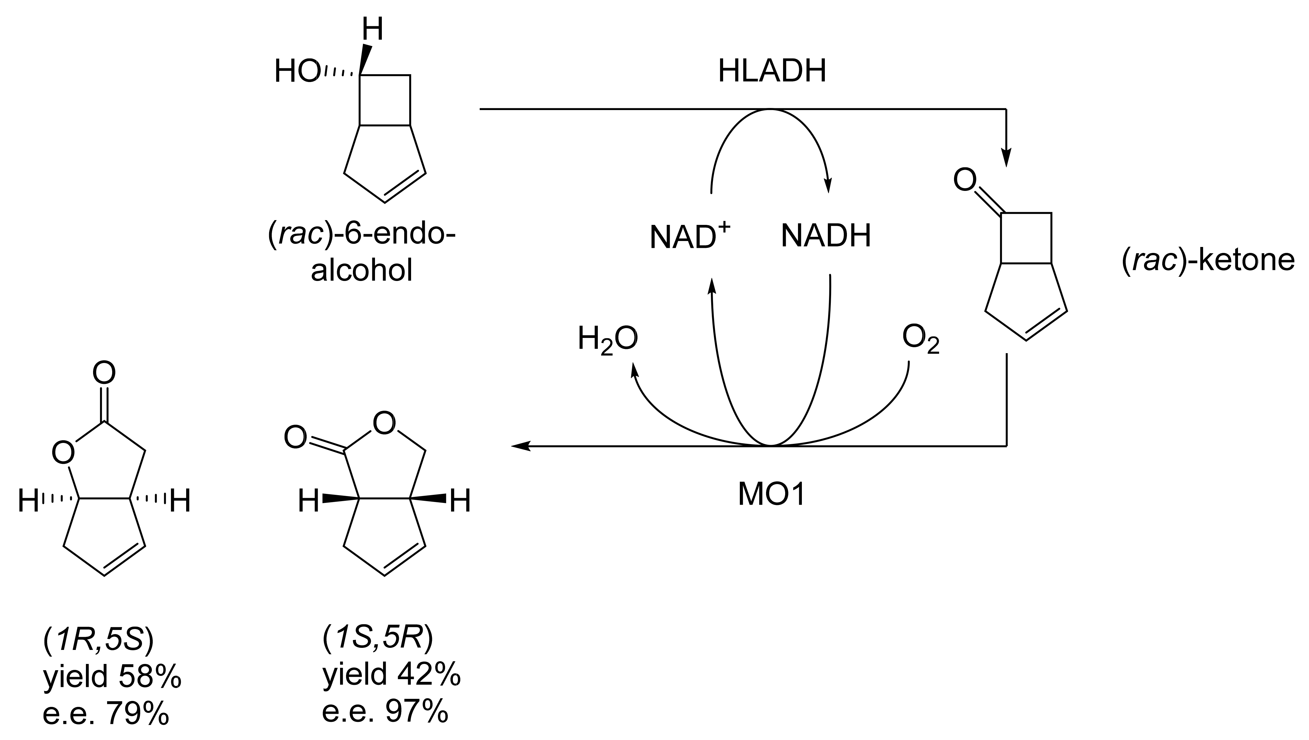 Molecules 28 07249 g016