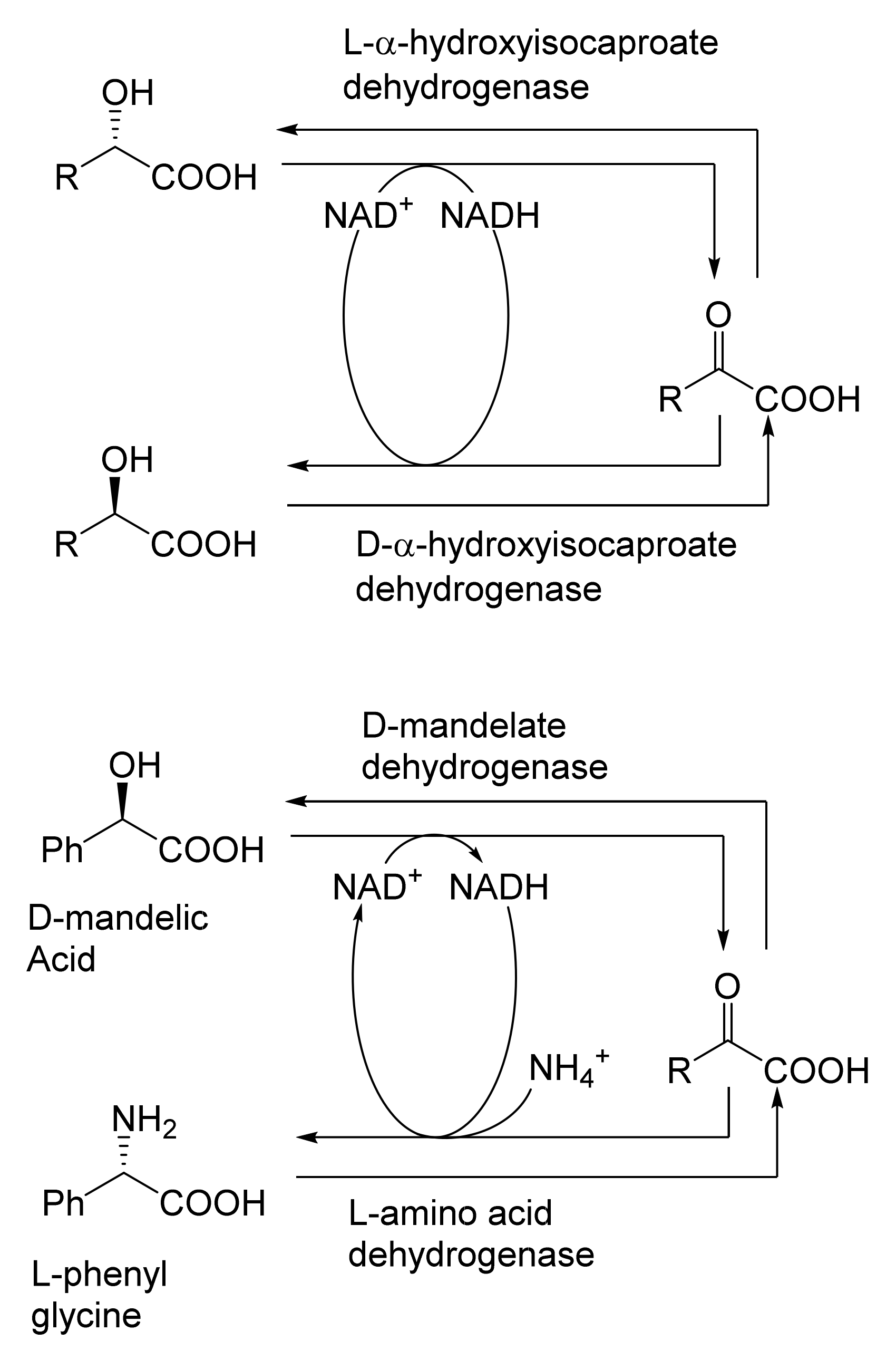Molecules 28 07249 g020