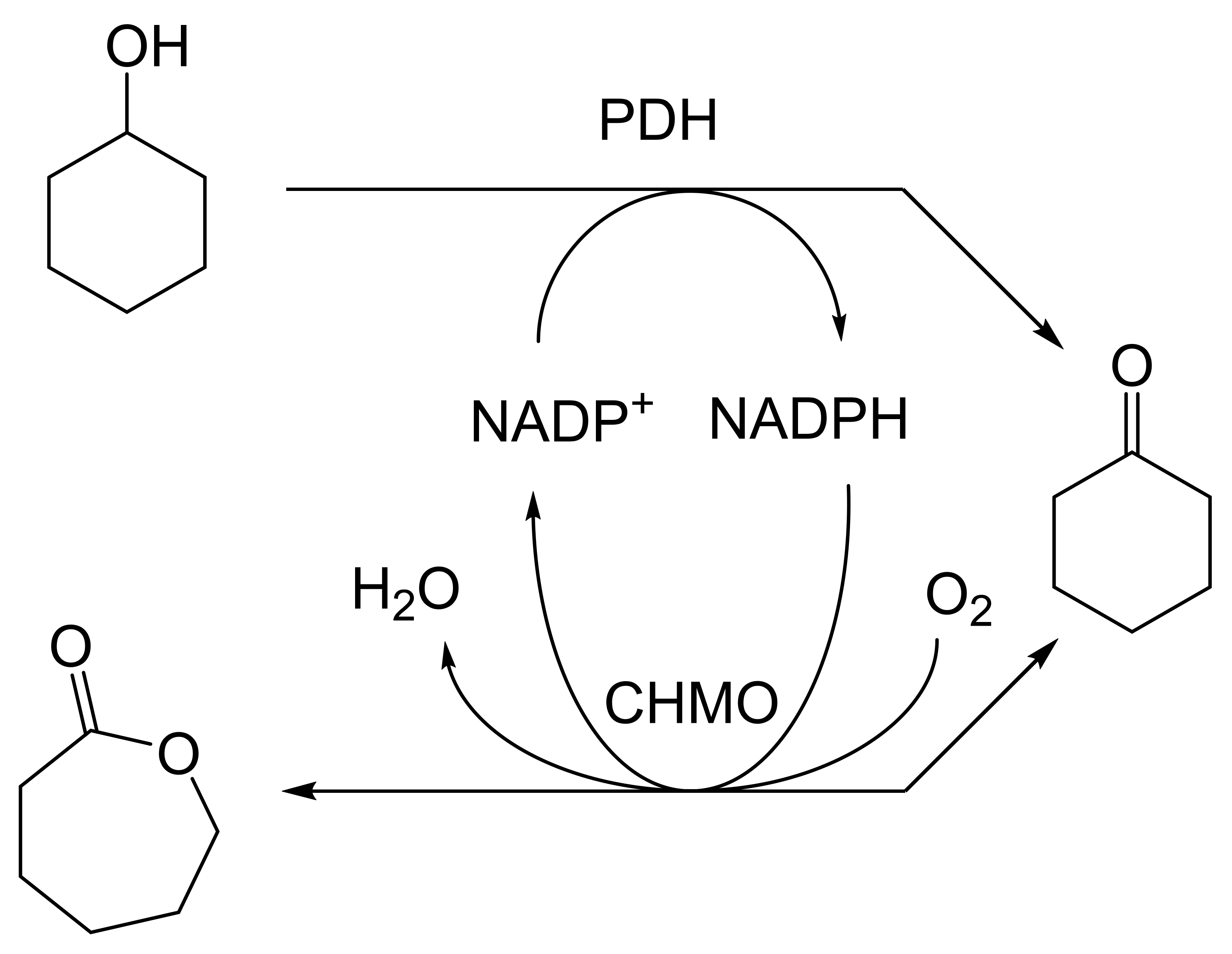 Molecules 28 07249 g023