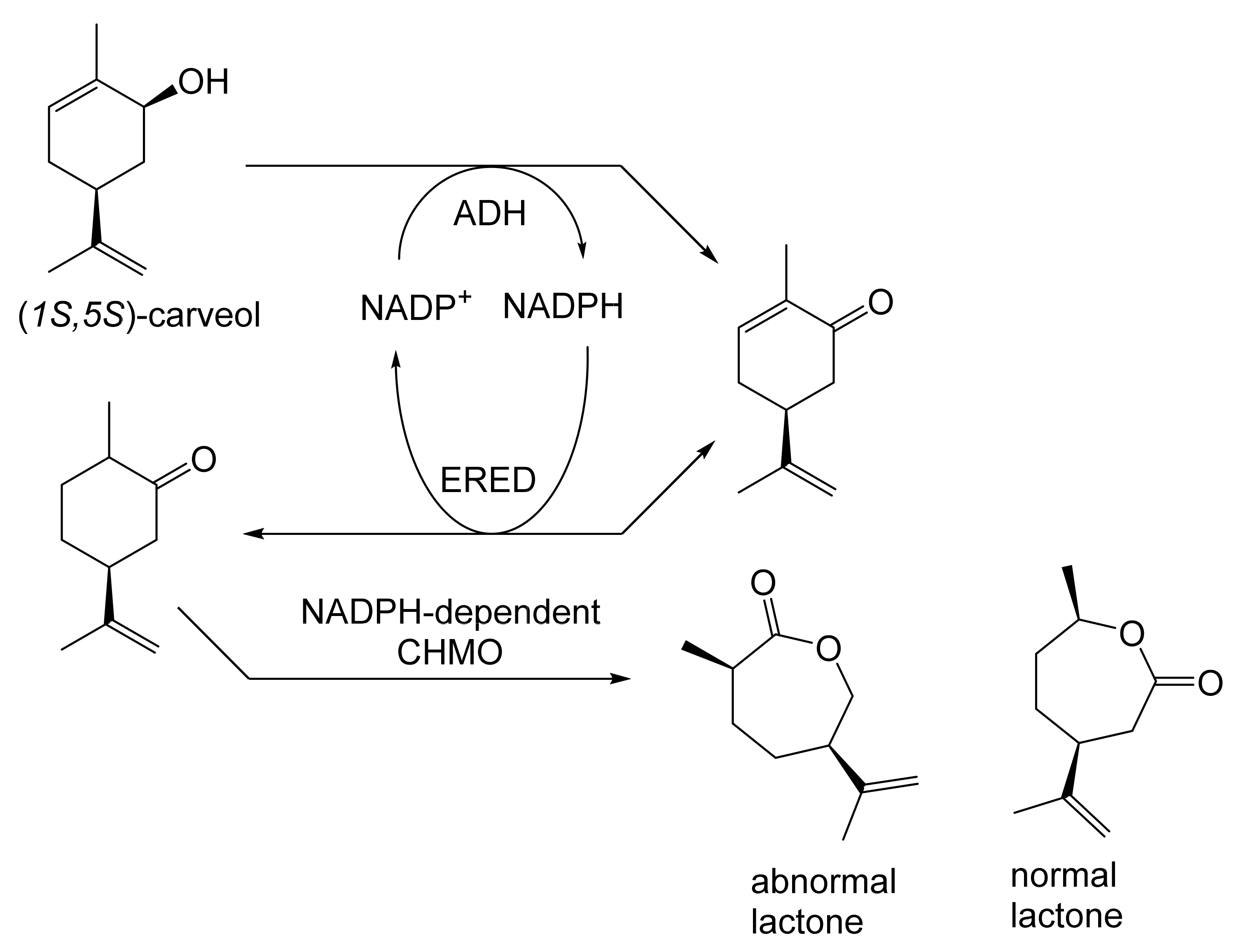 Molecules 28 07249 g024