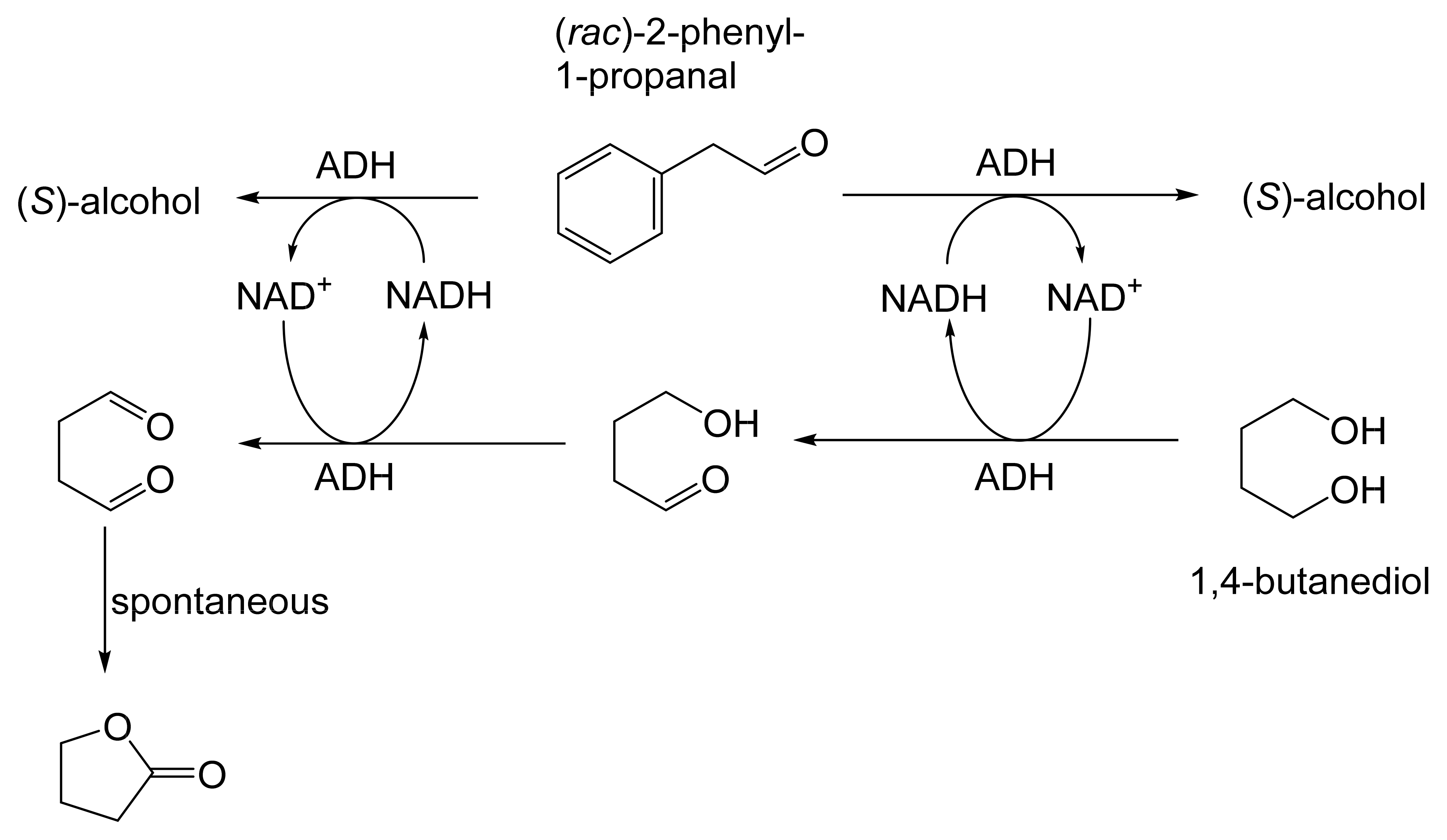 Molecules 28 07249 g025