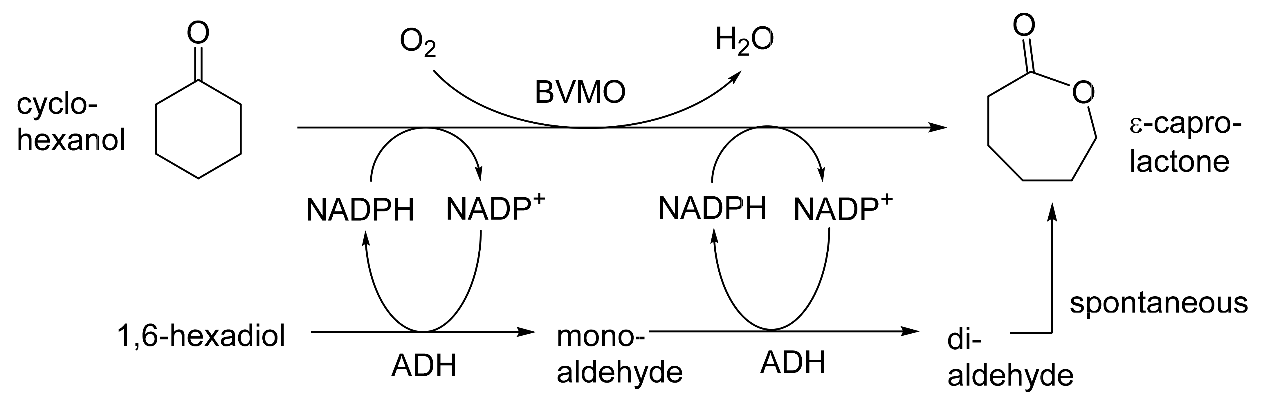 Molecules 28 07249 g026