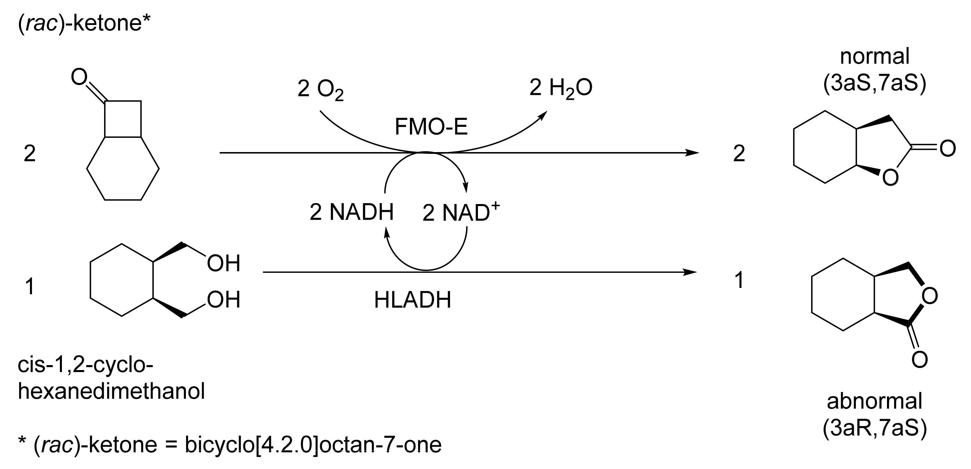 Molecules 28 07249 g027