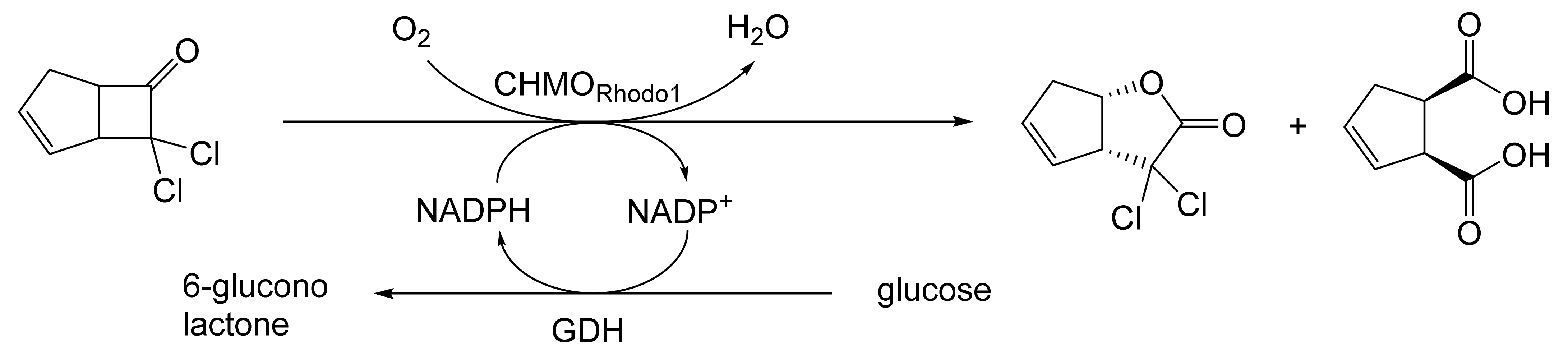 Molecules 28 07249 g028