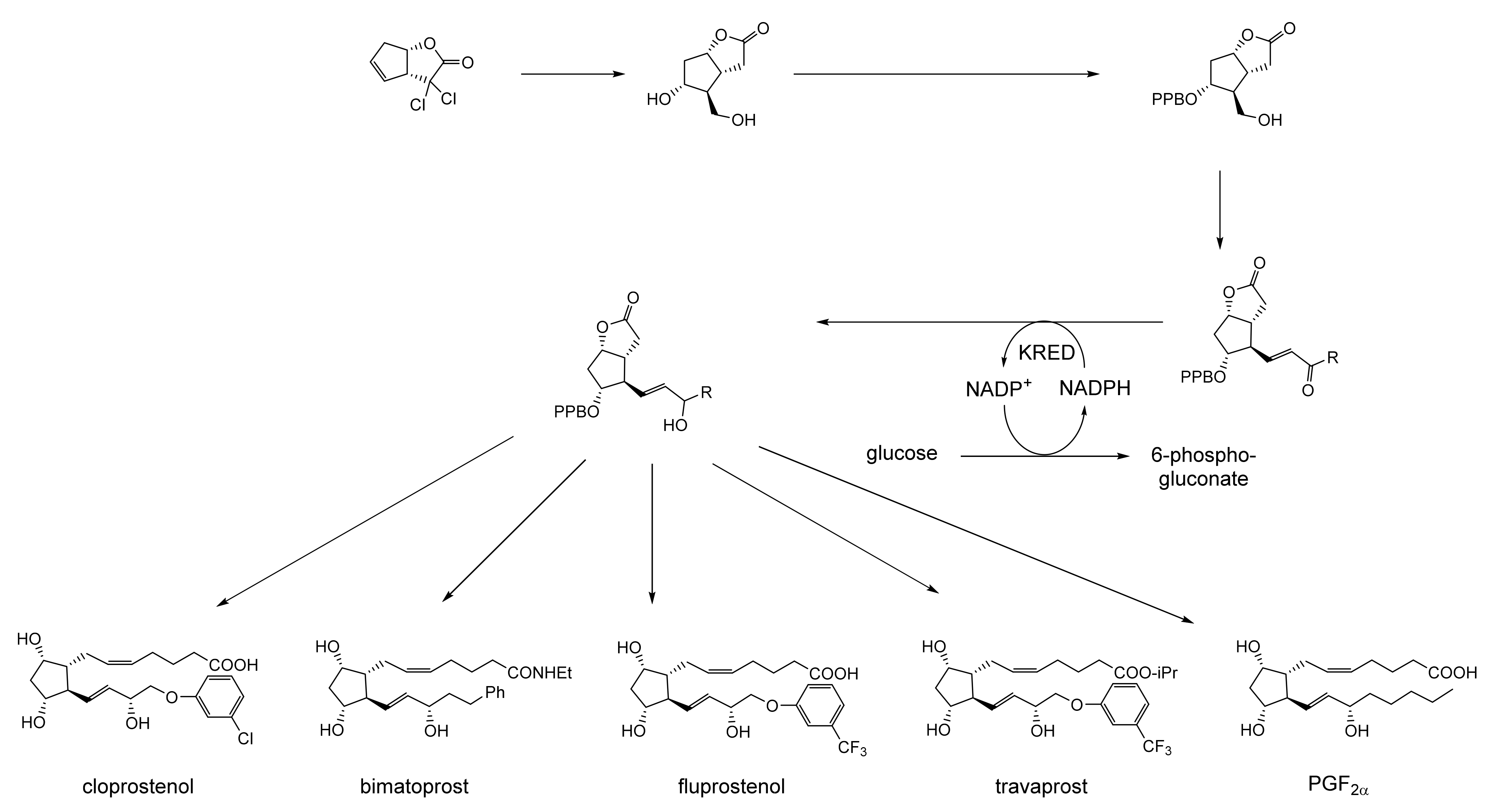 Molecules 28 07249 g029