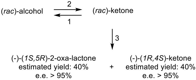 Molecules 28 07249 i001 Molecules 28 07249 i001