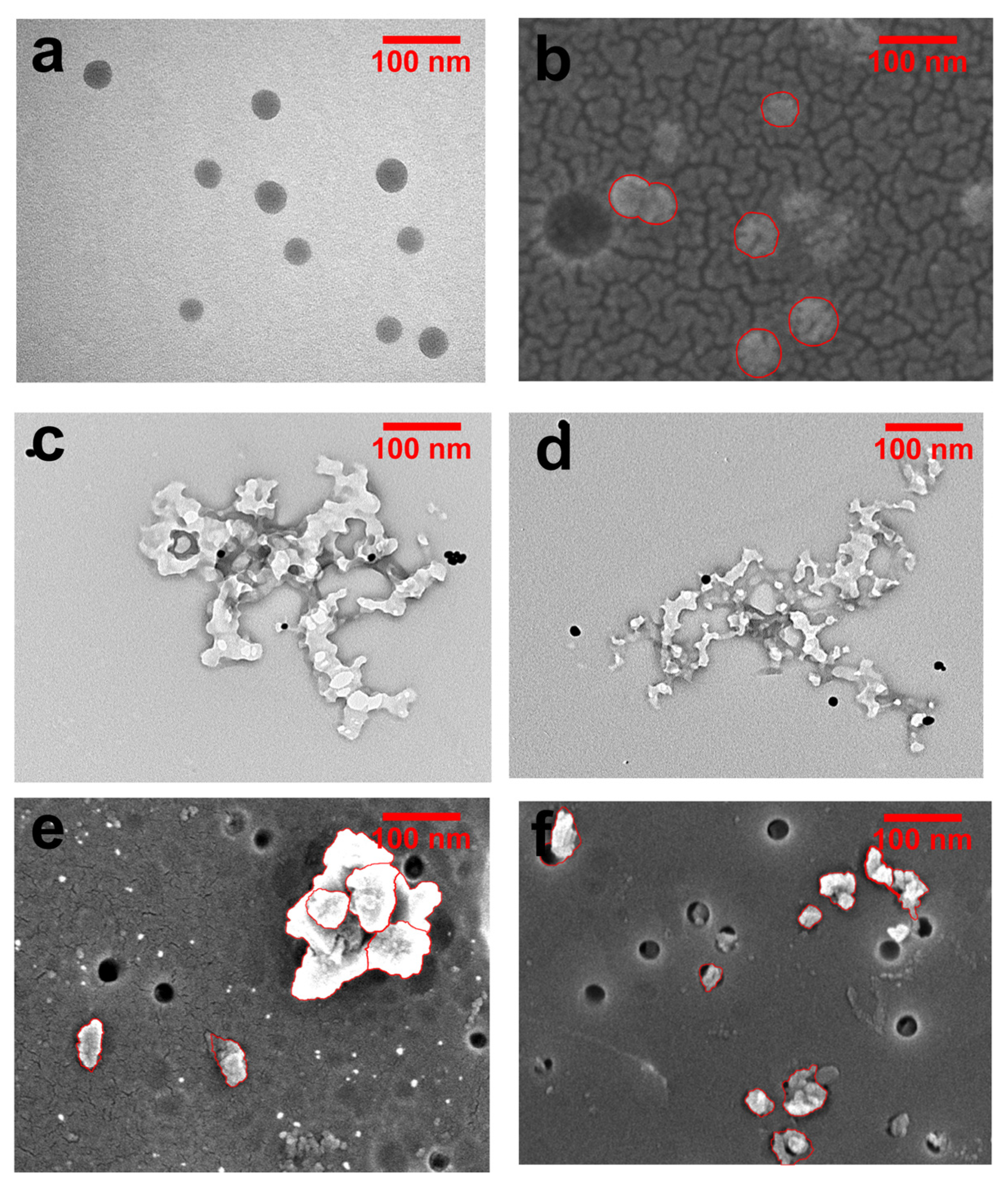 Molecules 28 07254 g004