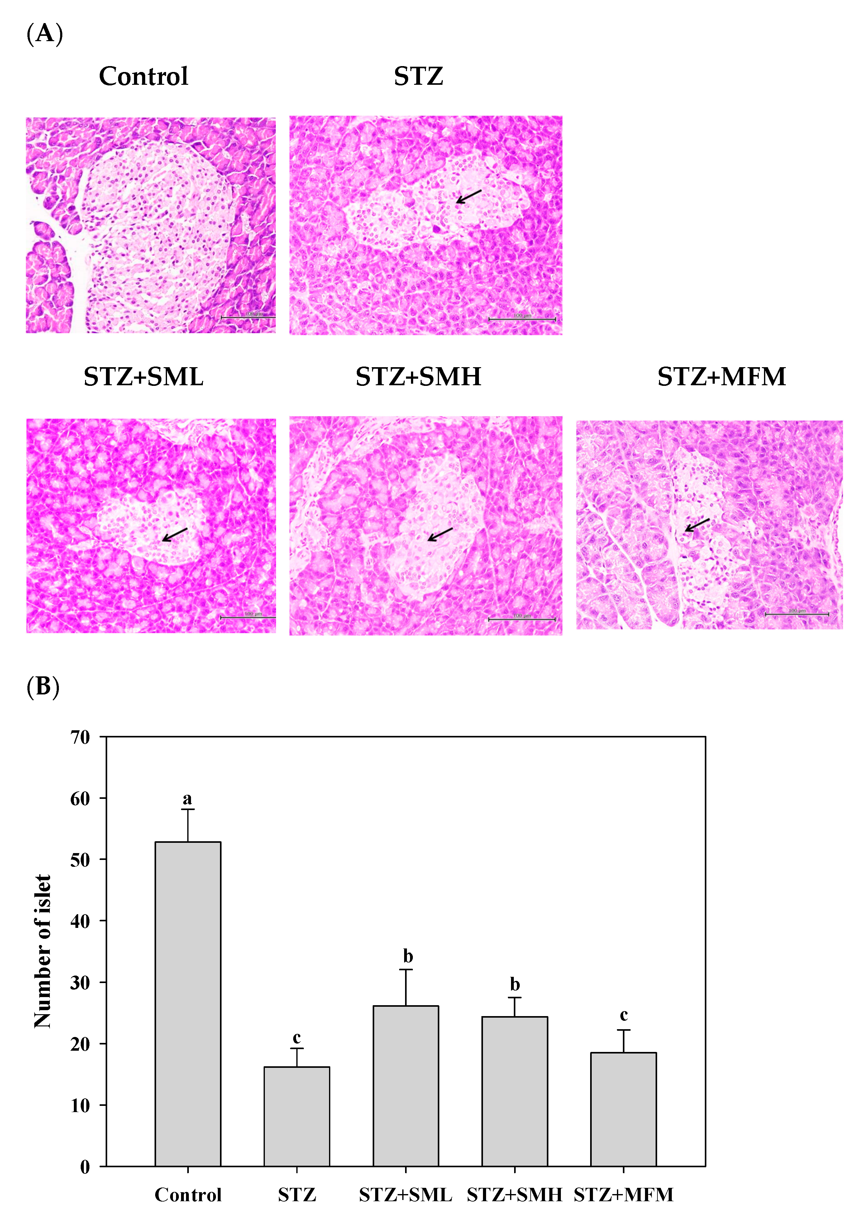 Molecules 28 07255 g005